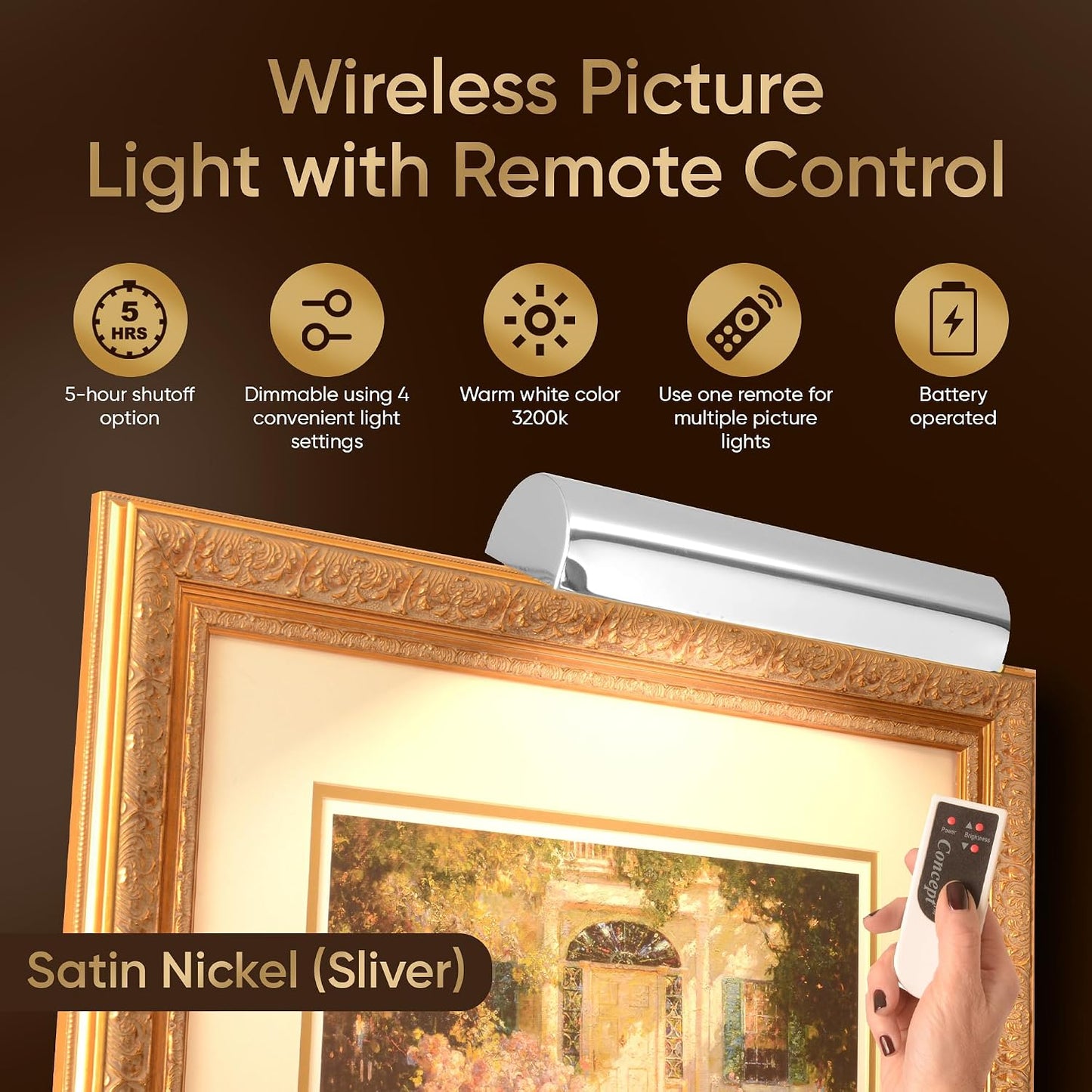Concepdesigns Picture Light, Battery Operated Picture Light, Dimmable Wireless Picture Lights for wall, Art Light