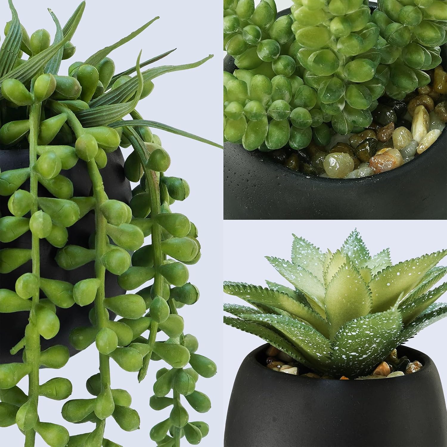 Artificial Succulents Plants in Black Cement Planters Faux Potted / Black Cement Pots / Set of 3