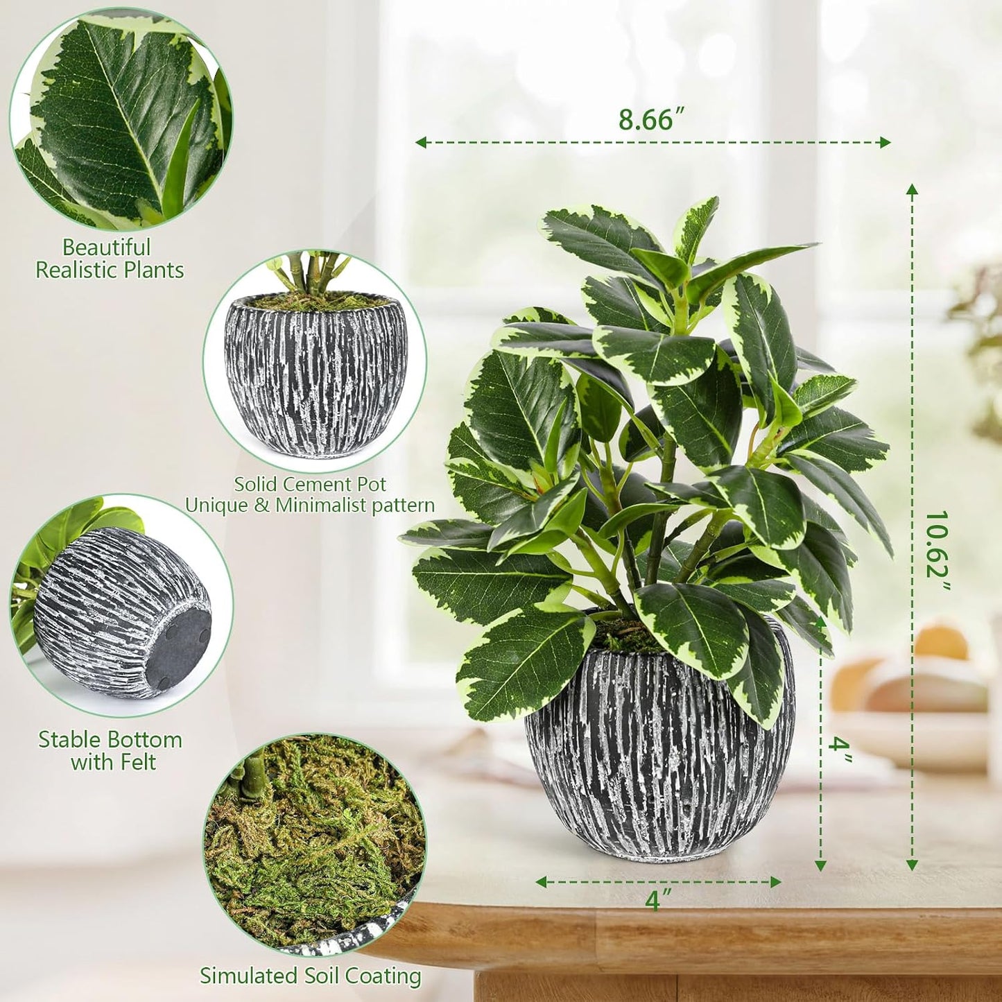 Faux Variegated Oak Leaf Plant / Green#02