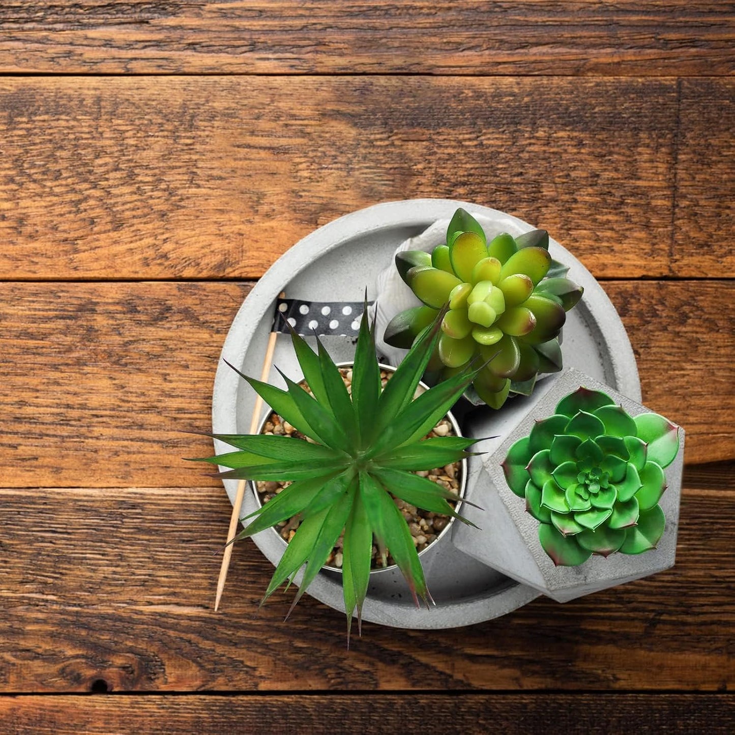 Artificial Hanging Ornaments Fleshed Plant Textured / Green / Set of 5