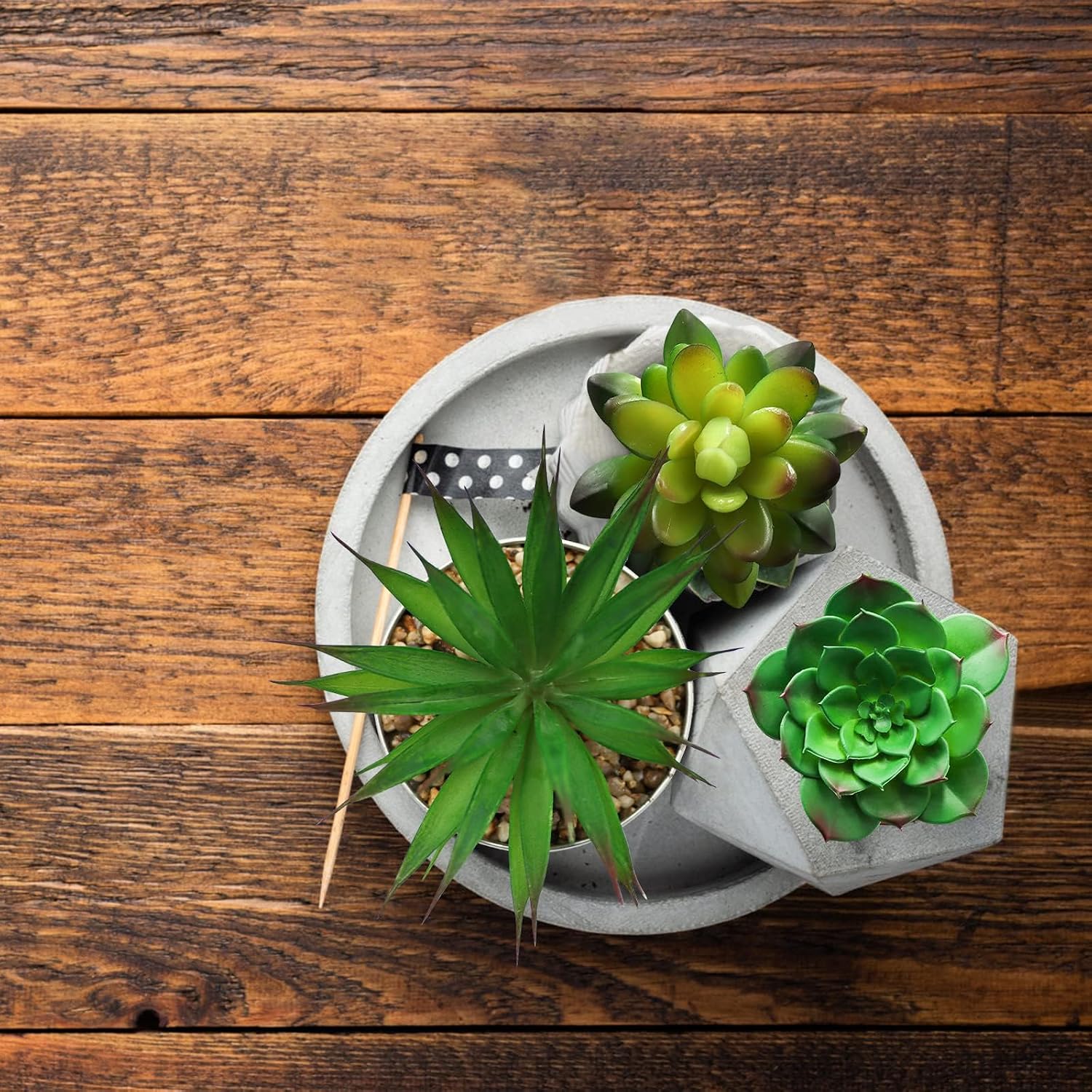 Artificial Hanging Ornaments Fleshed Plant Textured / Green / Set of 5