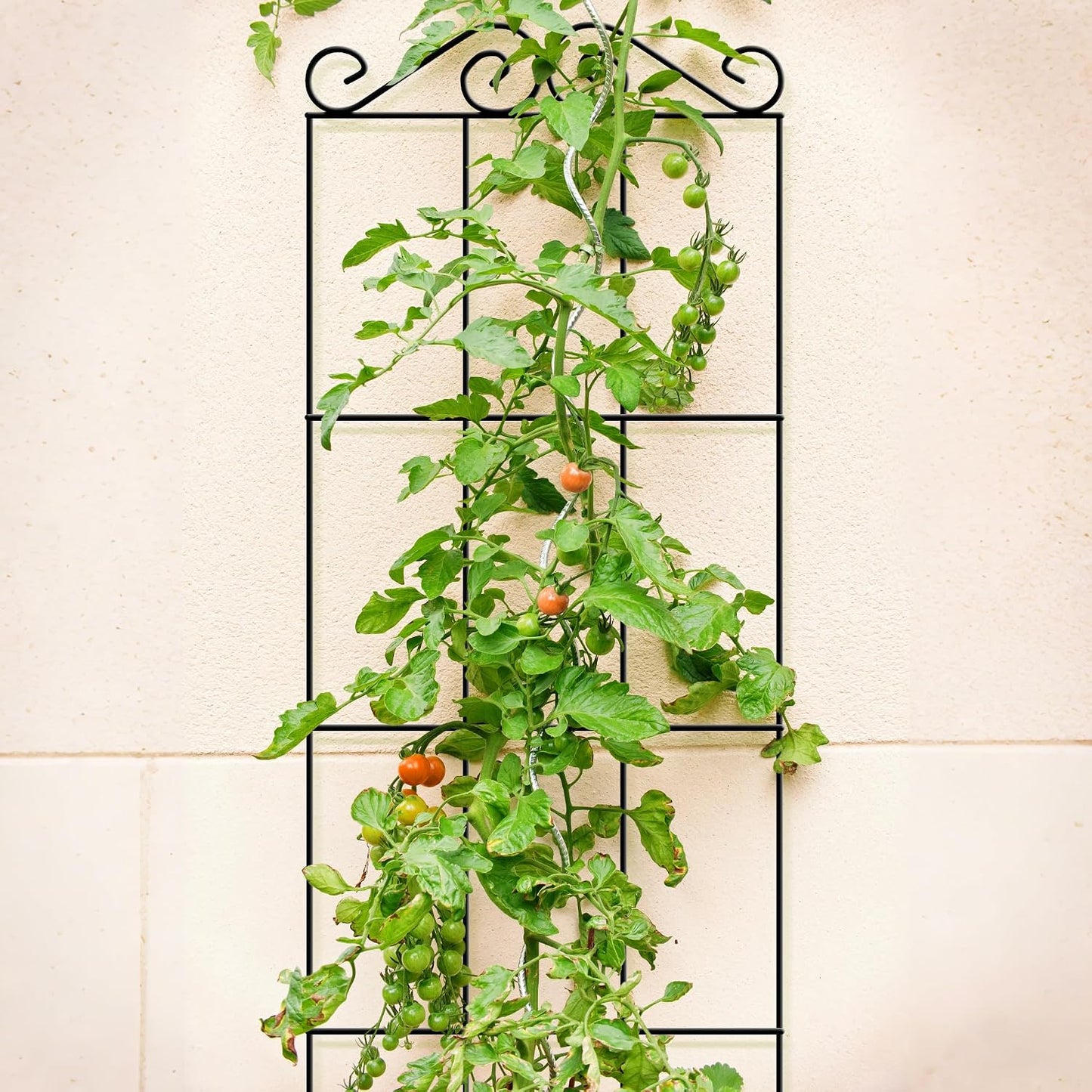 ARIFARO 4Pack 47'' Metal Garden Trellis for Climbing Plants Outdoor | Thicken Steel Trellis, For Indoor/Outdoor