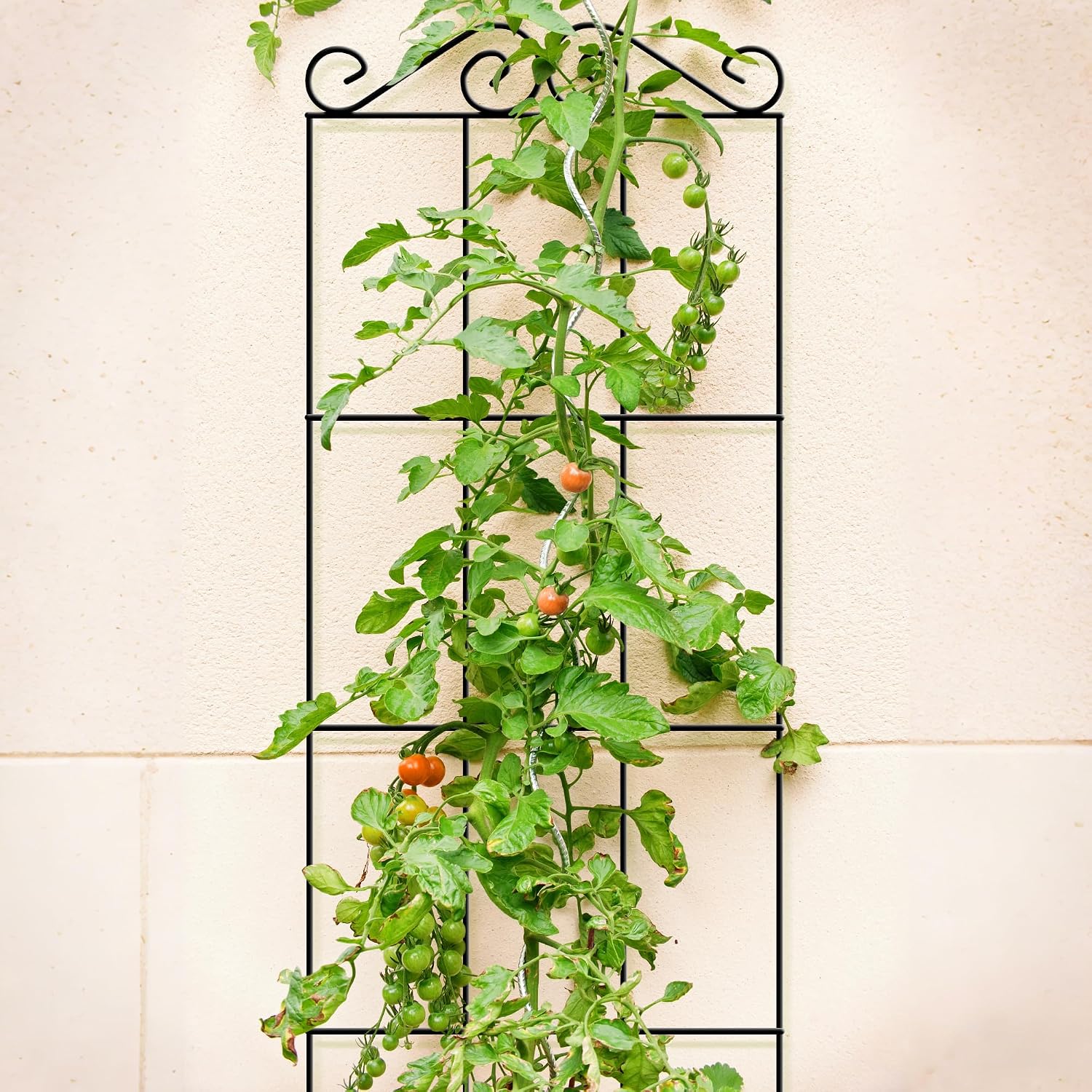 ARIFARO 4Pack 47'' Metal Garden Trellis for Climbing Plants Outdoor | Thicken Steel Trellis, For Indoor/Outdoor
