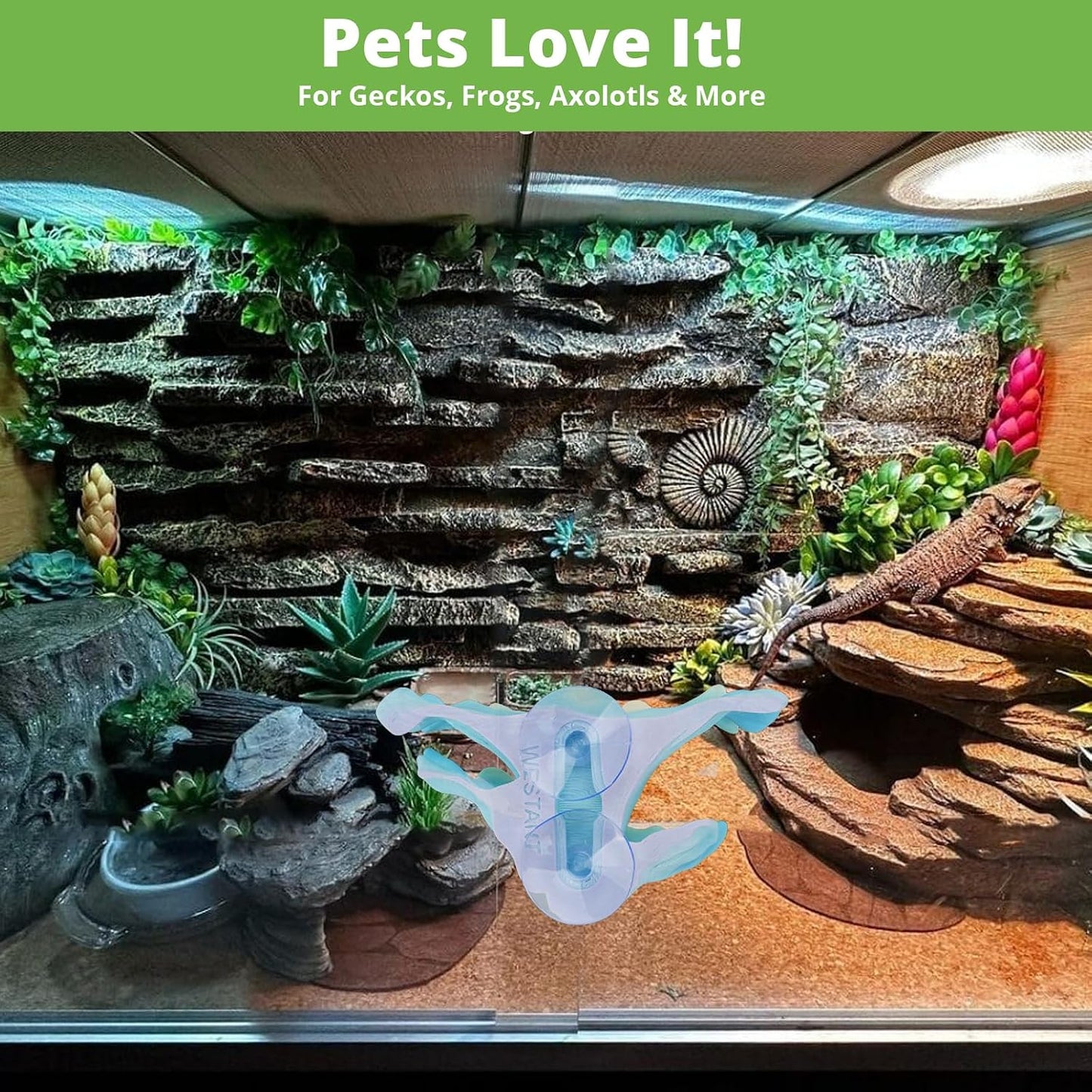 Mushroom Decor for Reptile Tank / Shelf Cap / Aurora