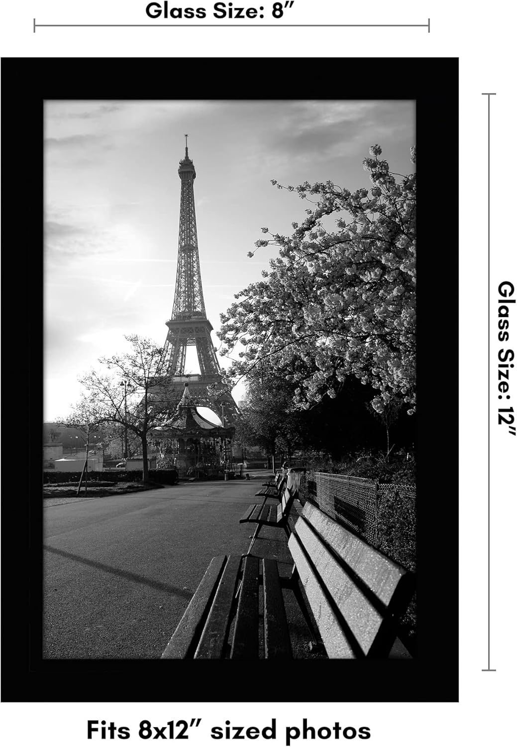 Picture Frame / Gallery-Style Frames Made / 8 x 12 / Black