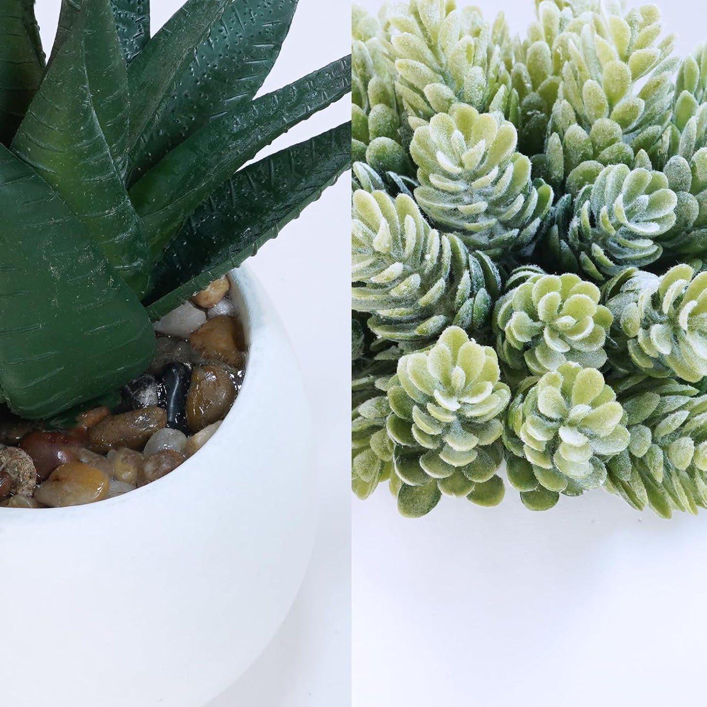 Assorted Artificial Succulent Plants in White Concrete Pots Faux Aloe Hops / White Pots / Set of 3