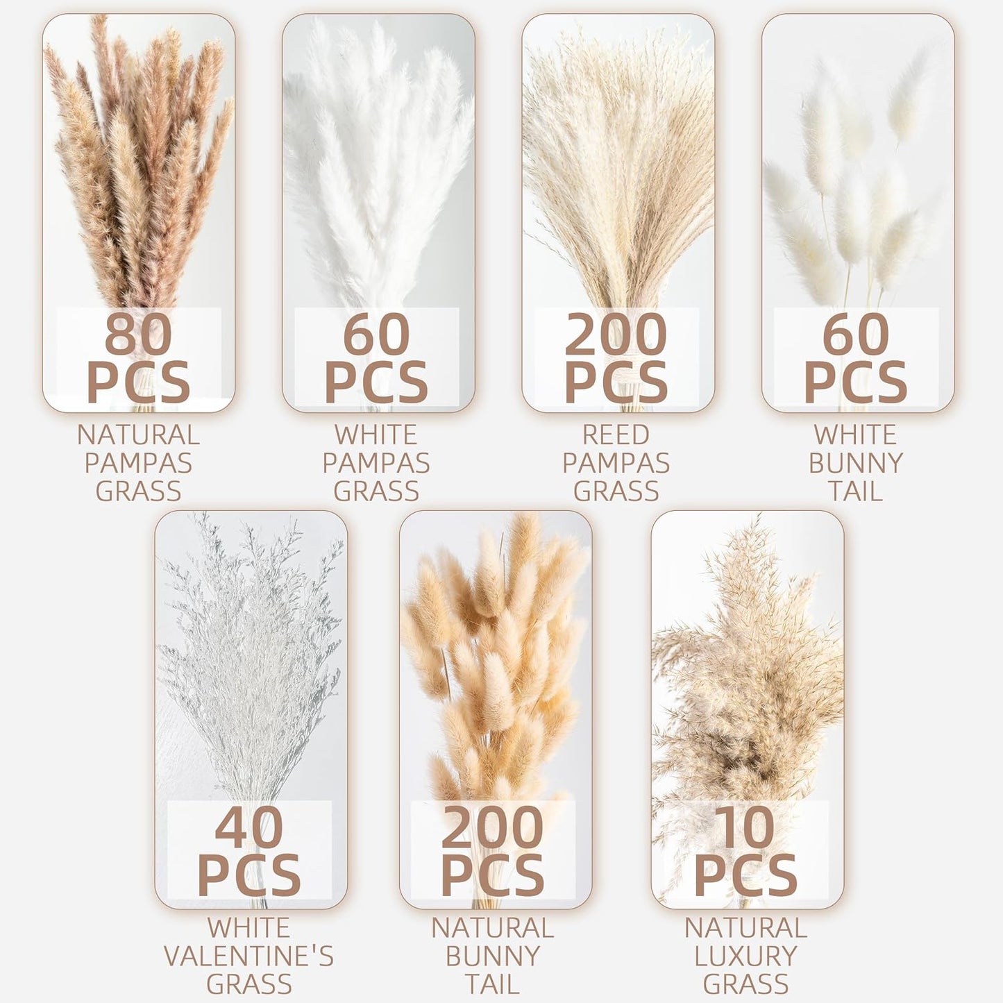 Dried Pampas Grass Boho Home Decor Bouquet Phragmites Dried Flowers Bouquet / Natural / Set of 650