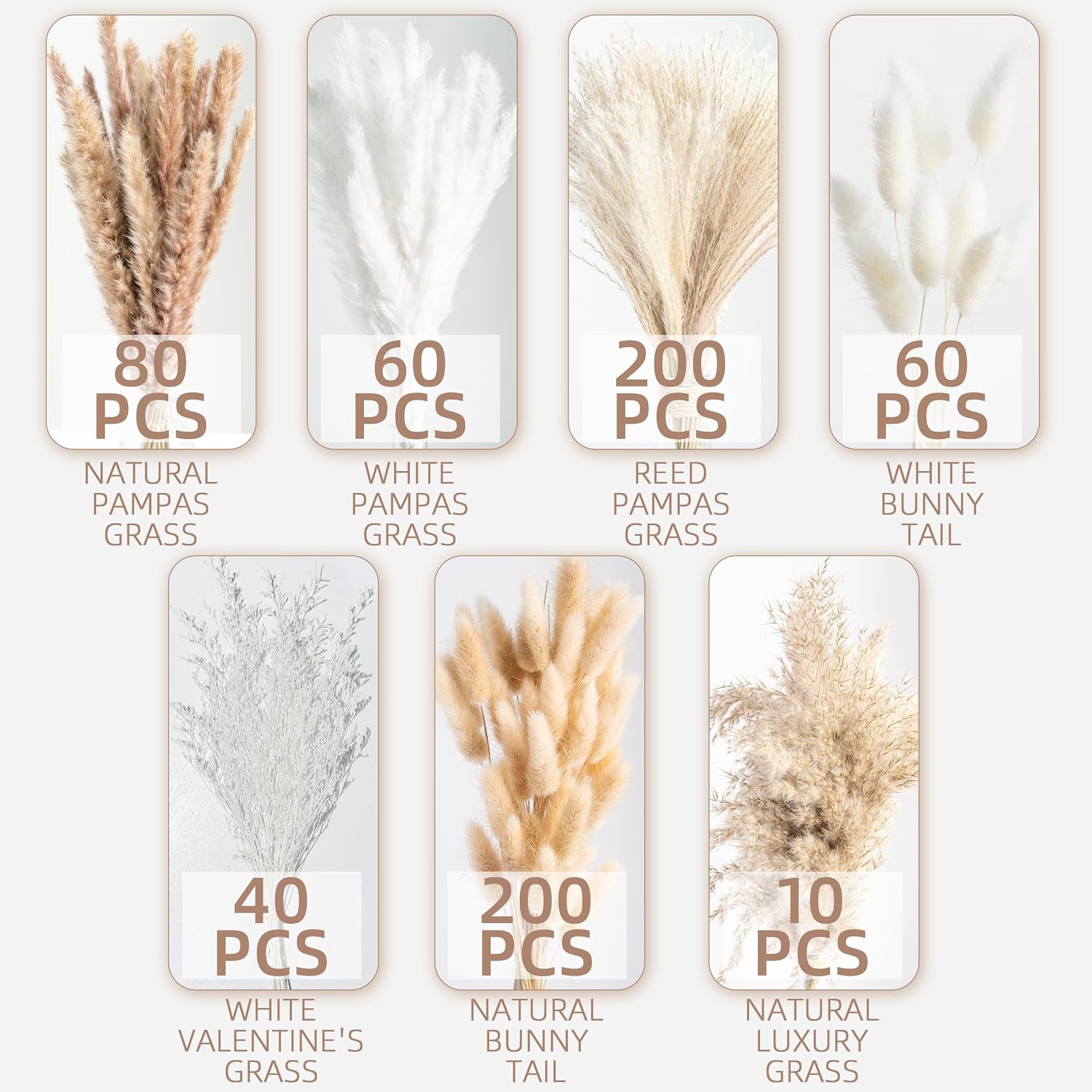 Dried Pampas Grass Boho Home Decor Bouquet Phragmites Dried Flowers Bouquet / Natural / Set of 650