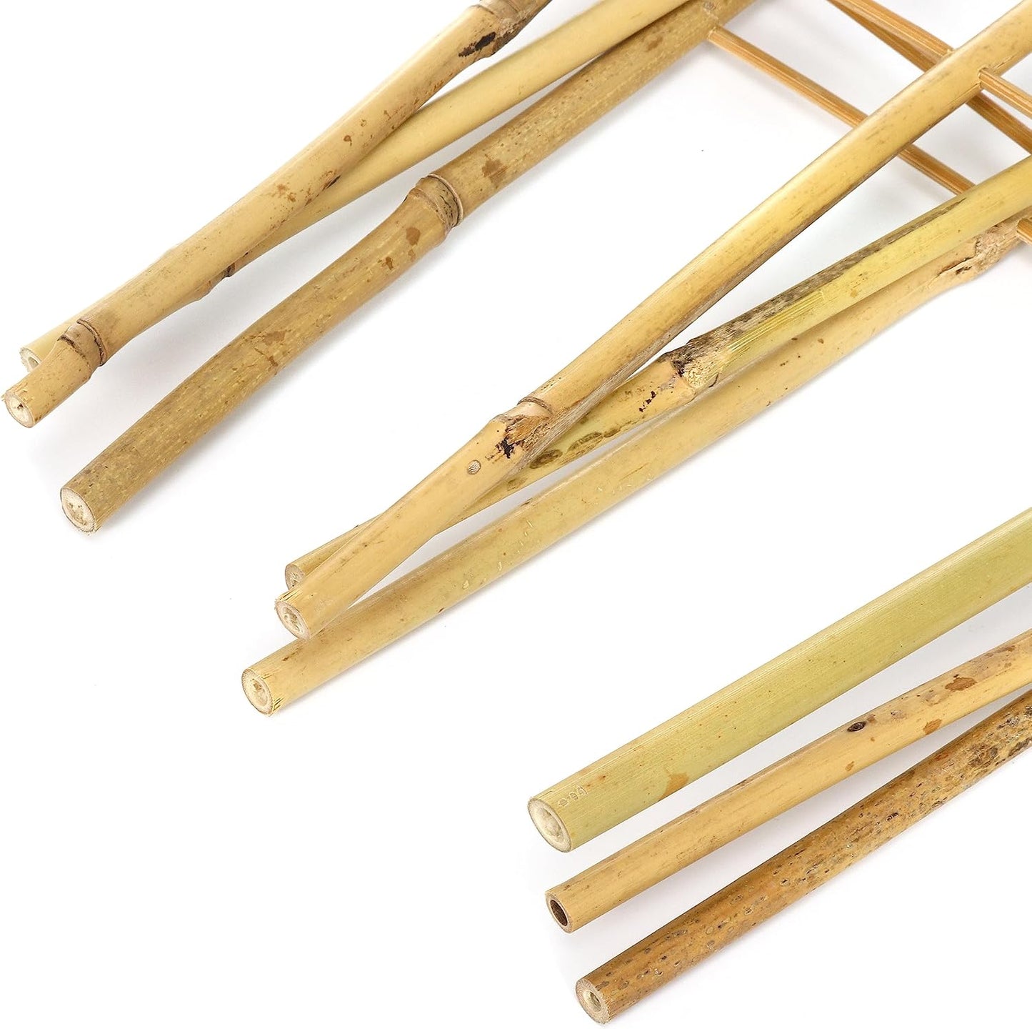 SWANGSA 6 Pack 4Ft Bamboo Trellis for Climbing Plants, Fan-Shaped Garden Ladder Trellis with 100pcs Twist Ties for