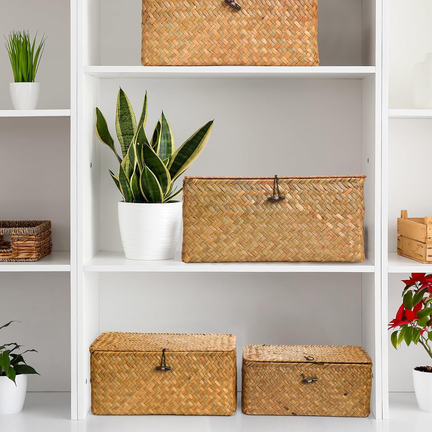 Seagrass Basket / Lids Bin Woven Organizer / Yellow Brown / Classic Style / Set of 6