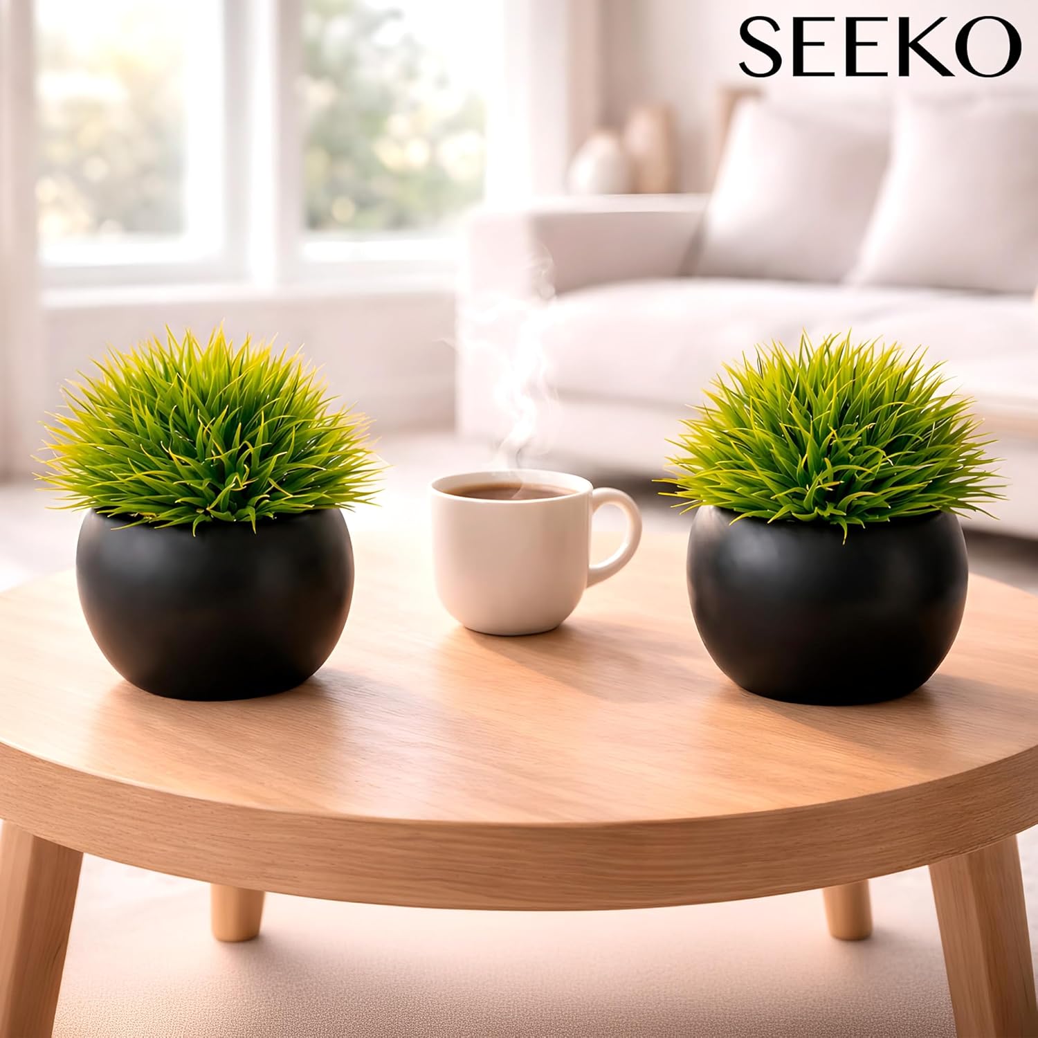 Fake Succulents Plants Artificial in Ceramic Pots Realistic Faux Succulents / Round / Set of 2