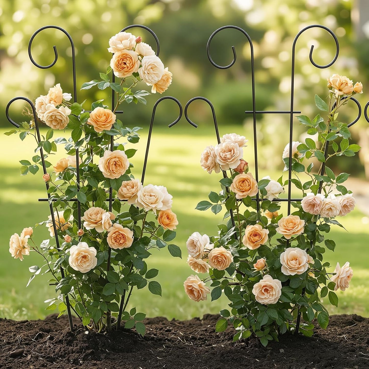 4 Pack 32 Inch Tall Metal Plant Trellis for Potted Plants | Metal Garden Trellis for Climbing Plants, Indoor Outdoor