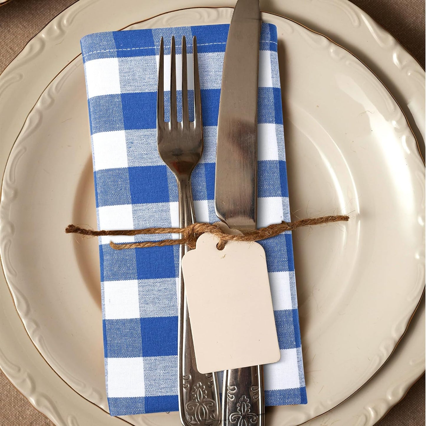 Urban Villa Cloth Napkins Cotton 20x20 (Set of 6) Blue Cheks