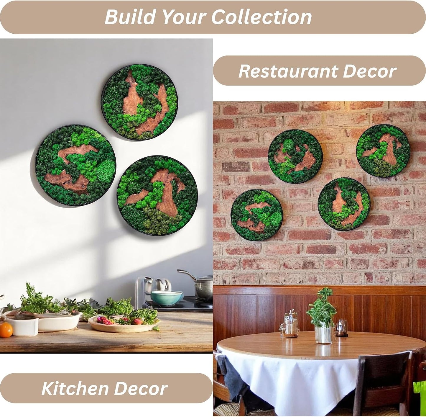 Unique No-Maintenance Decor / Round/green / 12"L x 12"W / Scattered