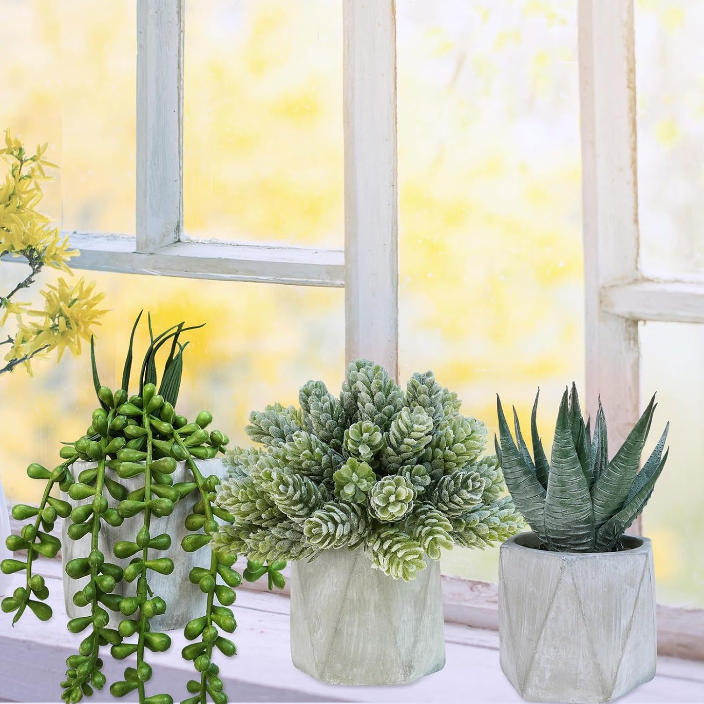 Mini Artificial Succulent Plants Potted Small Fake Aloe Hops String of Pearls / Gray / Set of 3