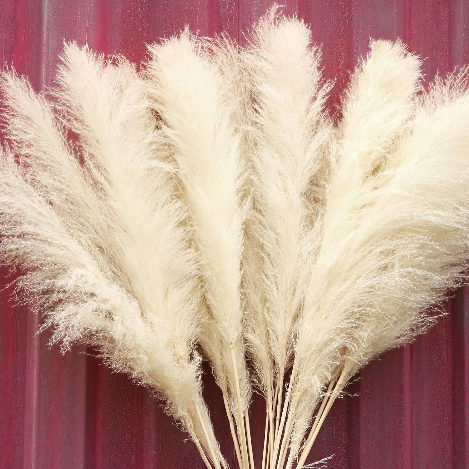 Tall Pampas Grass for Floor Vases / White-40 / Set of 10