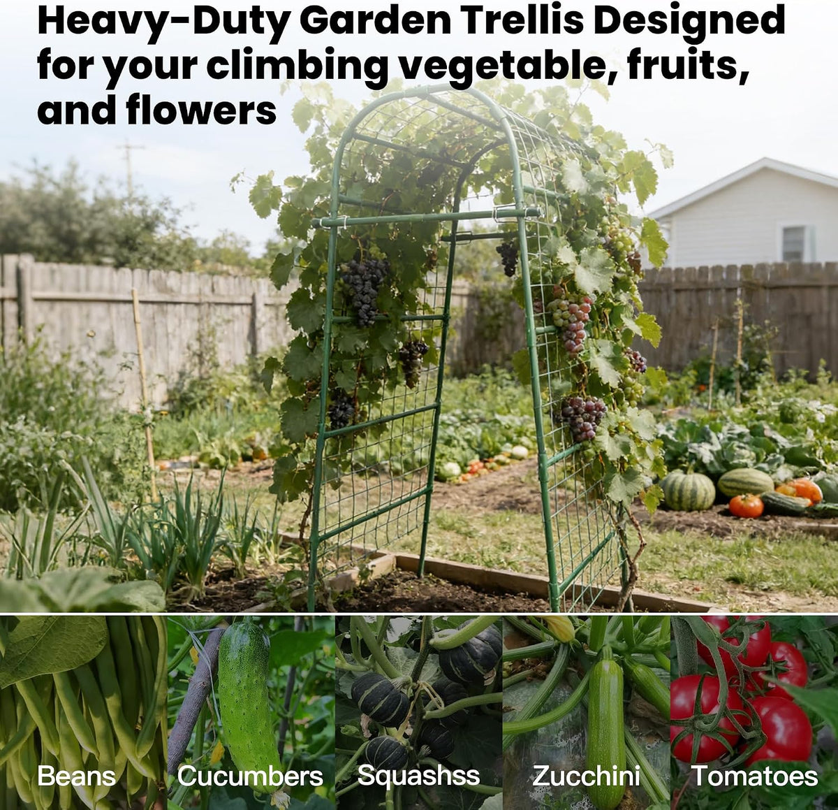 Garden Arch Trellis for Climbing Plants Outdoor, 7 Ft Tall Cucumber Trellis | Cucumber Trellis for Raised Bed, Metal