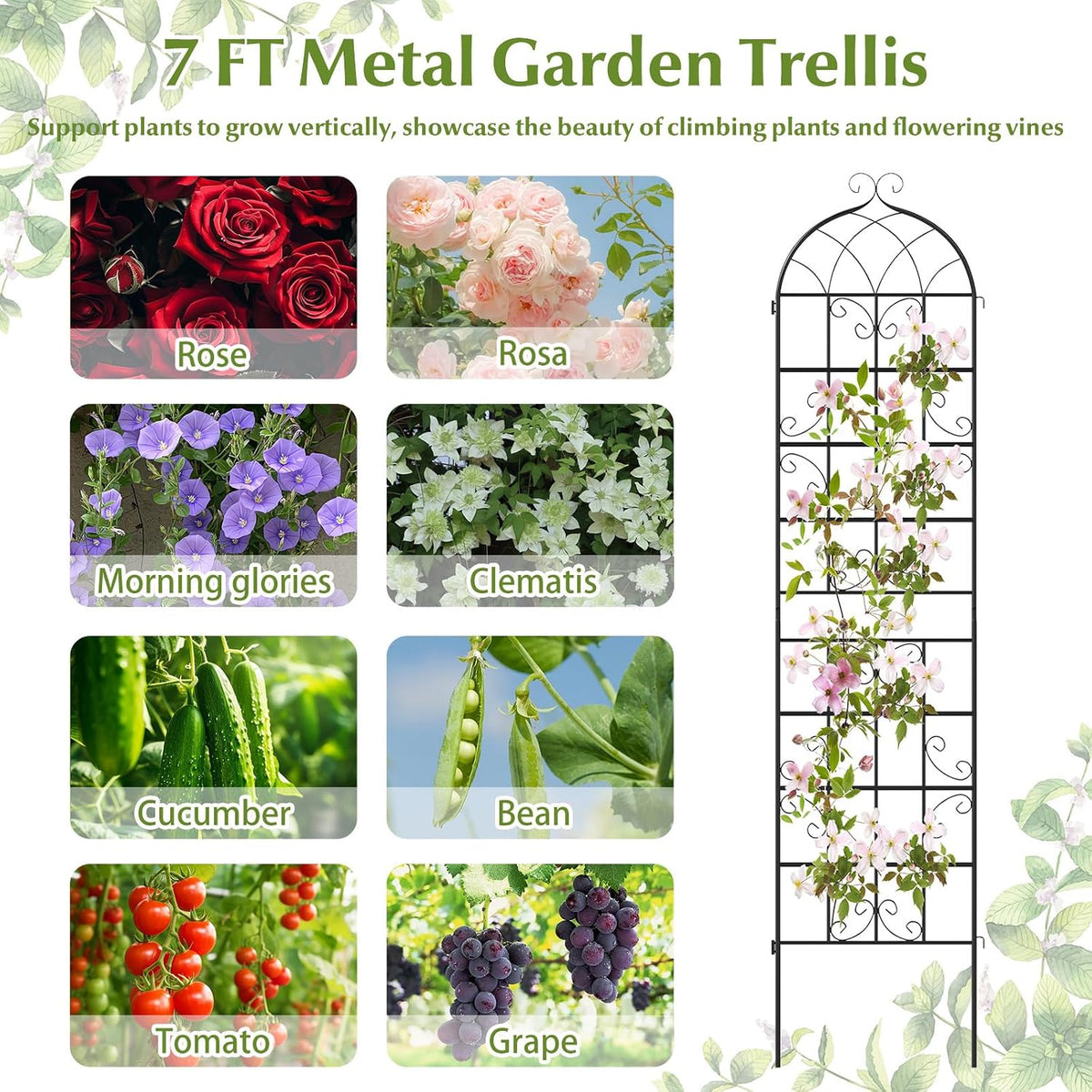 Giantex 2 Packs 86"x20" Metal Garden Trellis for Outdoor Climbing Plants, Heavy-Duty Plant Support for Vine Rose