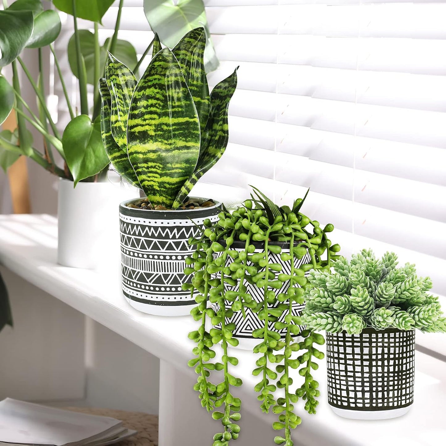 Small Potted Plants Artificial Succulents Hanging Plants and Faux Tropical Snake / Black / Set of 3