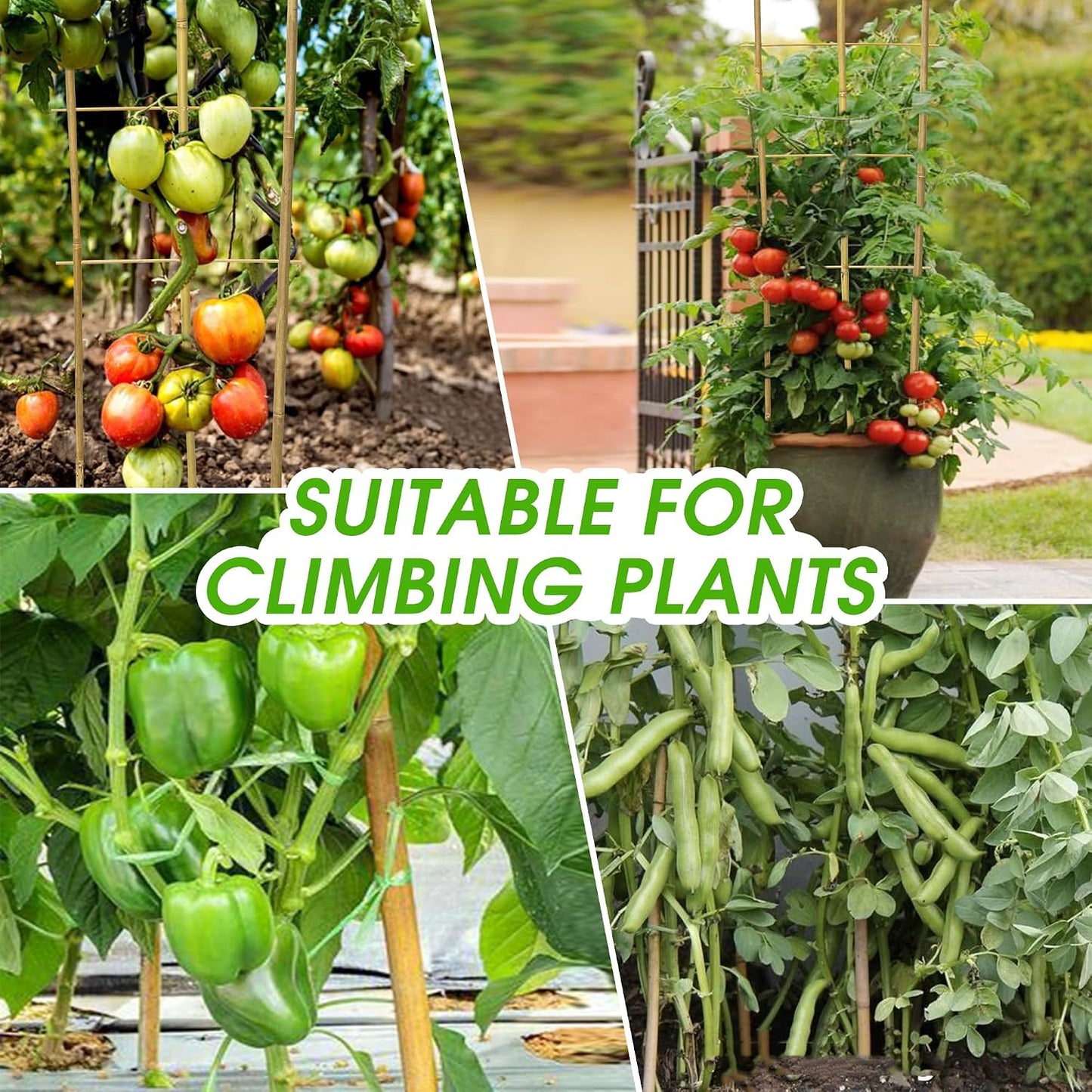 3 Pack 4 Feet U-Shape Bamboo Trellis, Natural Garden Bamboo Trellis for Climbing Plants, Vegetables, Cucumber, Tomato