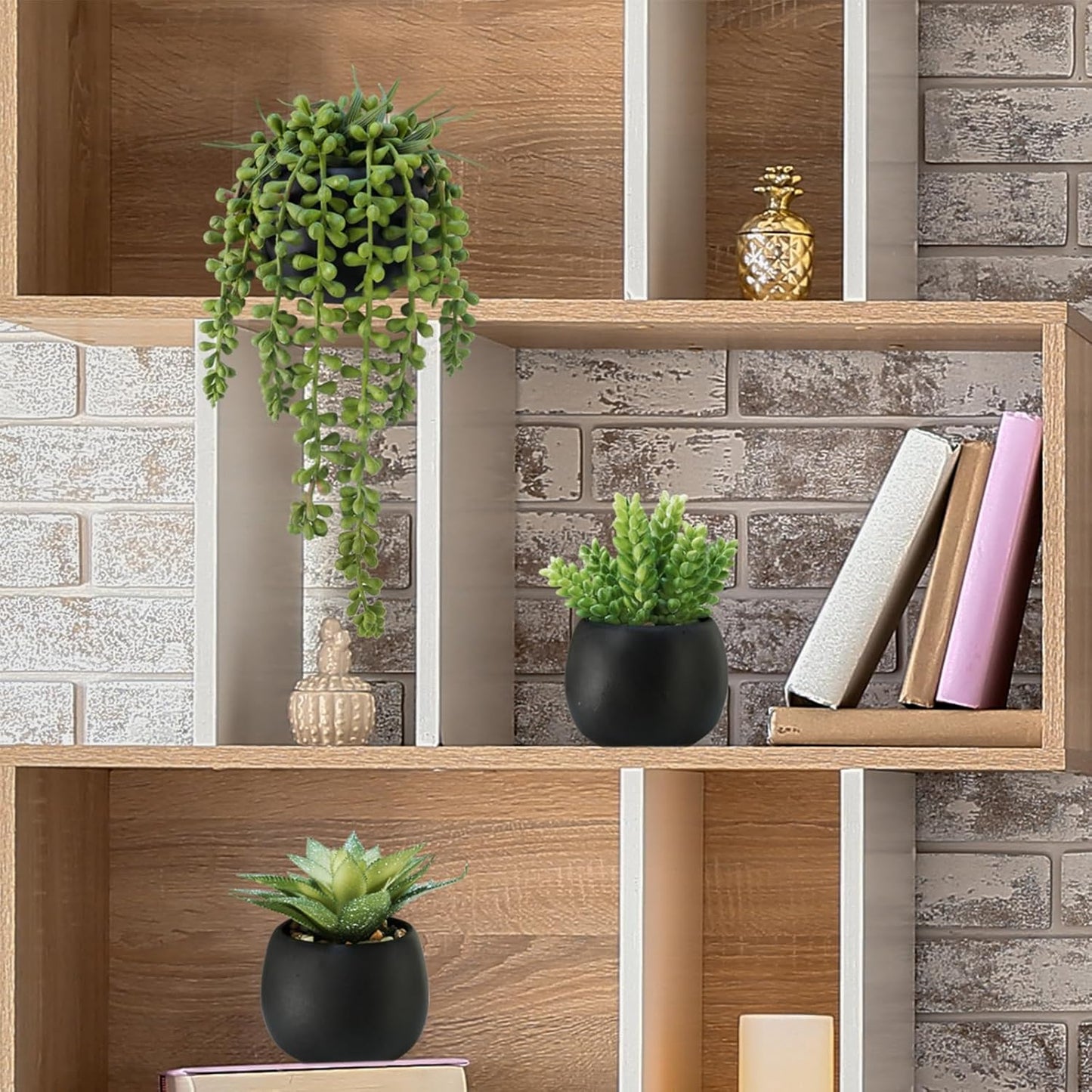 Artificial Succulents Plants in Black Cement Planters Faux Potted / Black Cement Pots / Set of 3