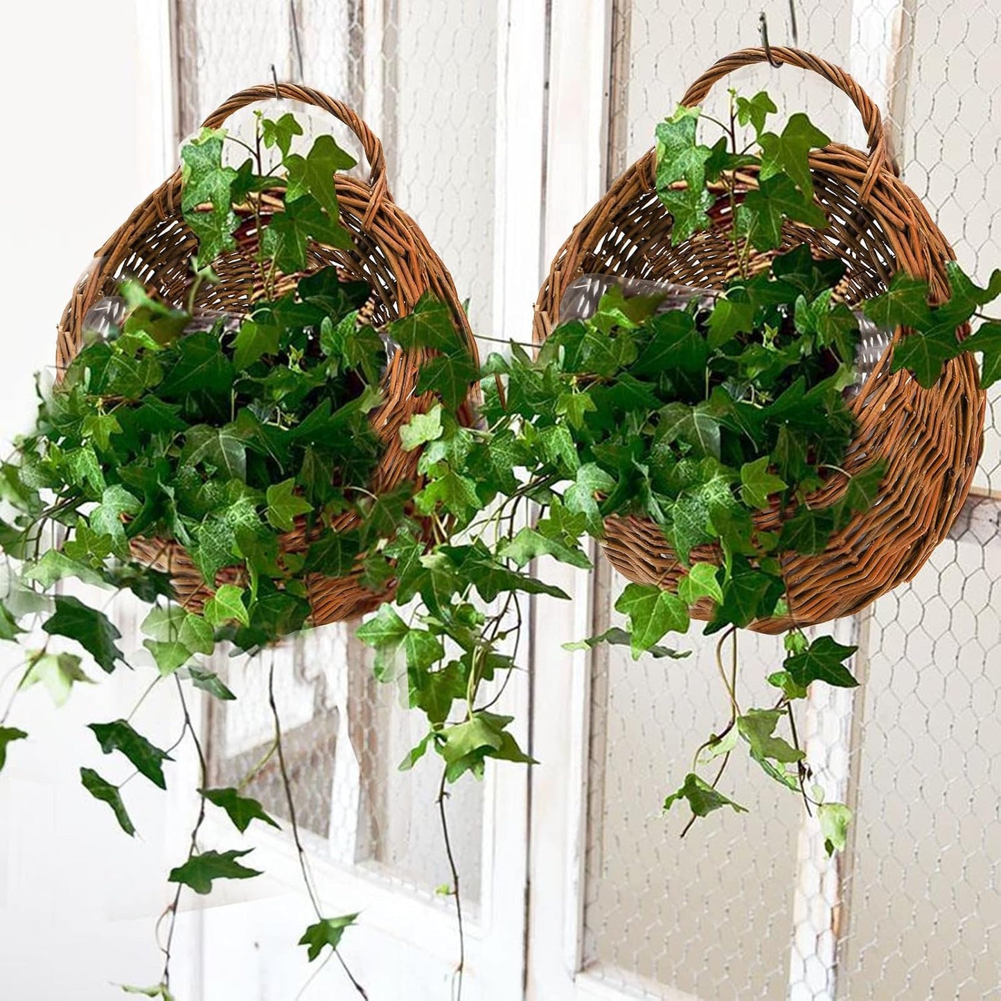 Rattan Hanging Planter / Natural