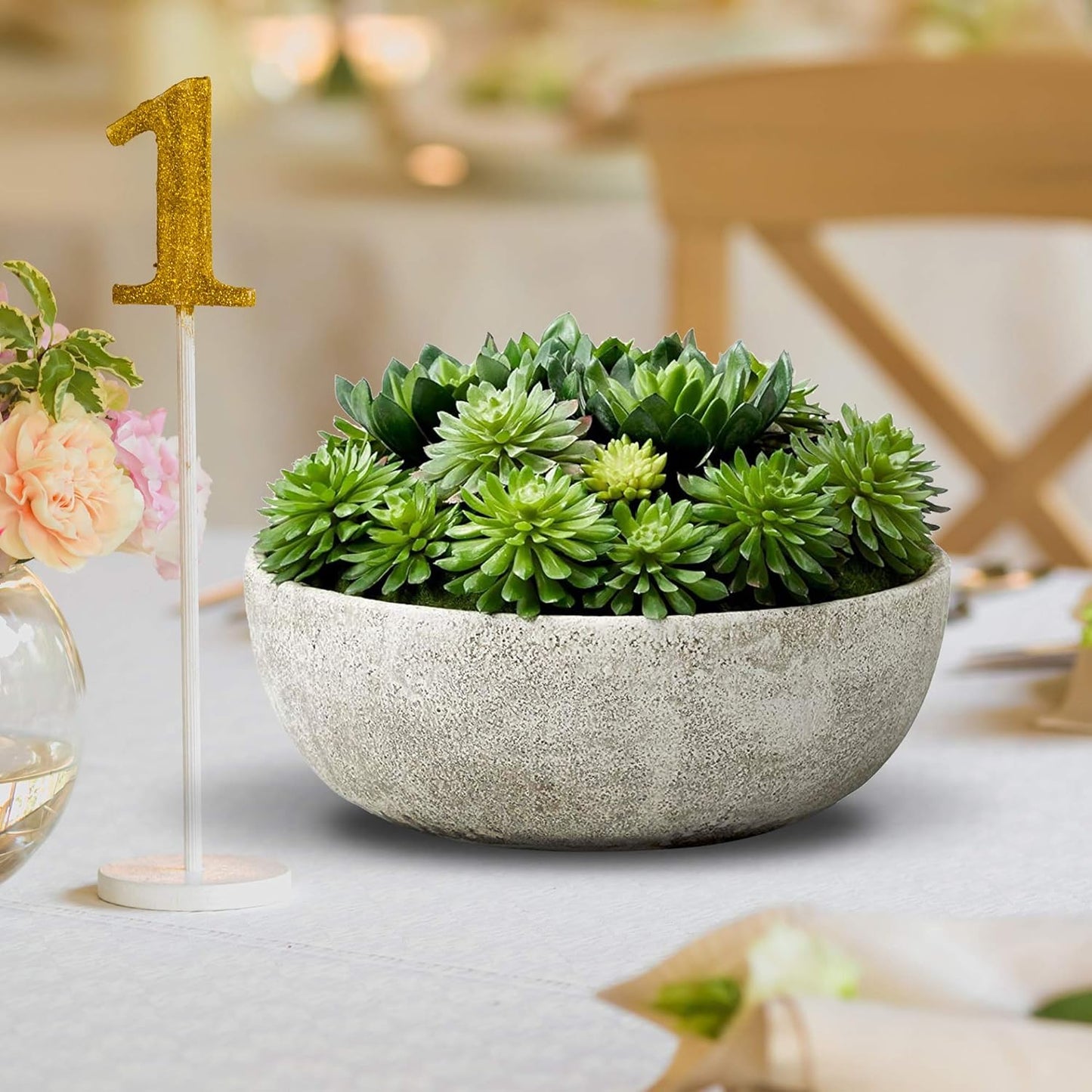 Real Looking Succulent / Echeveria Succulent Mix In Bowl