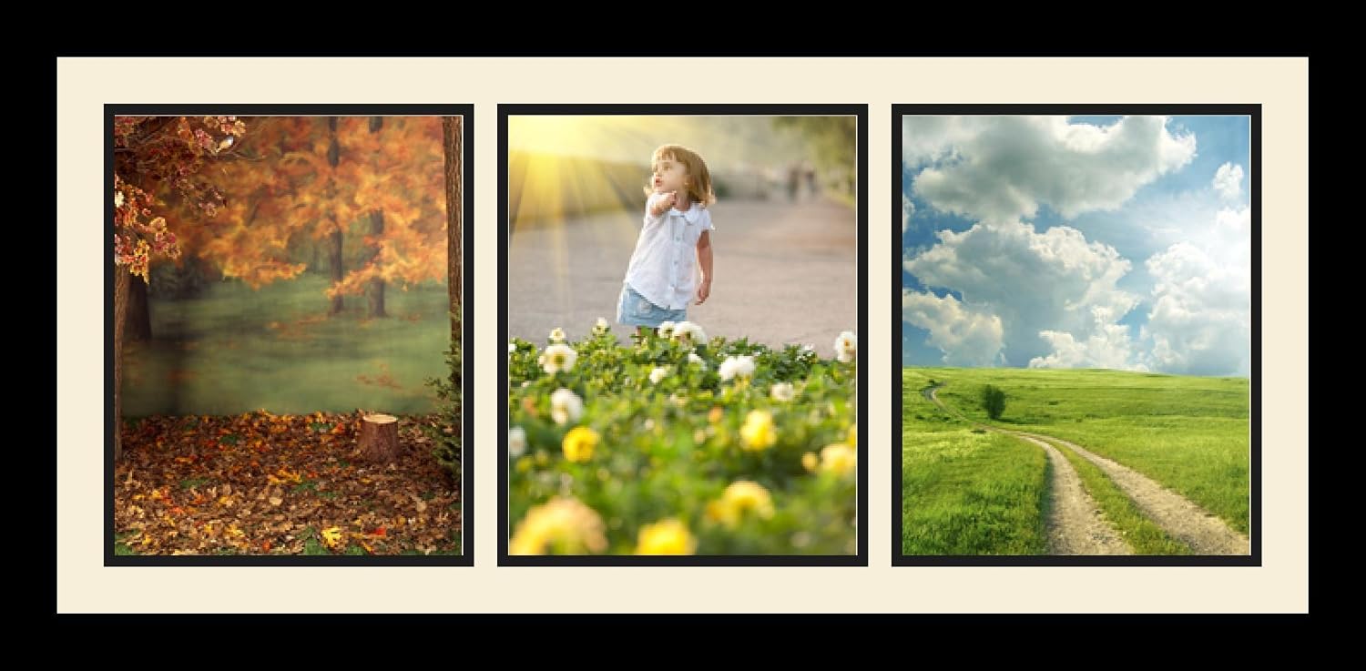 ArtToFrames Collage Photo Frame Single Mat with 3-8x10 Openings with Satin Black Frame and Blue Jay mat.