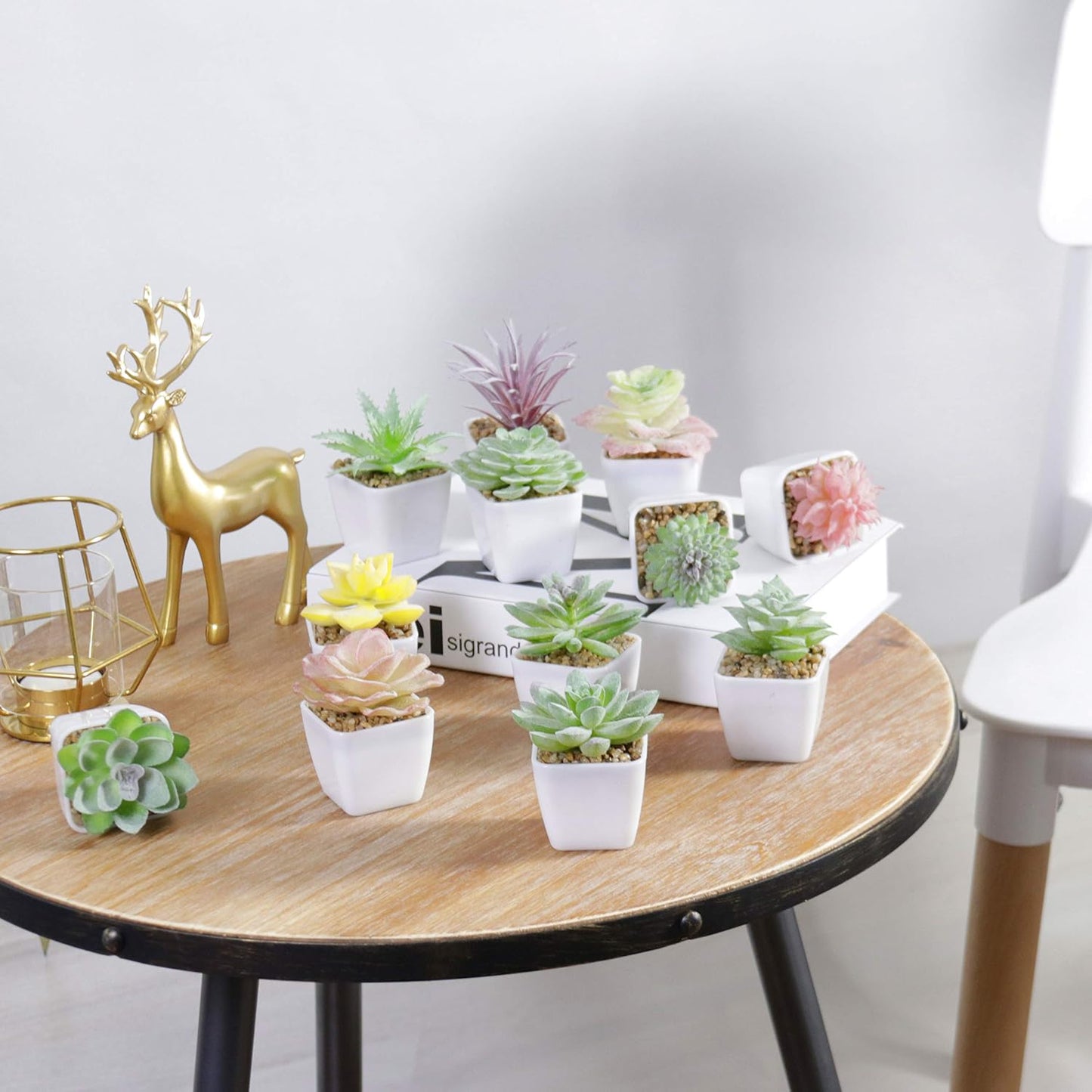 Artificial Faux Succulents in Pots Fake Plants Plastic Arrangement Planter Small Mini / White-12