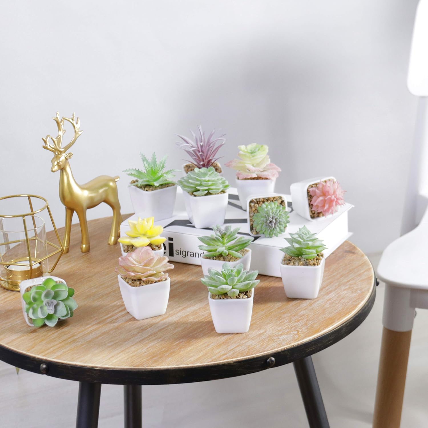 Artificial Faux Succulents in Pots Fake Plants Plastic Arrangement Planter Small Mini / White-12