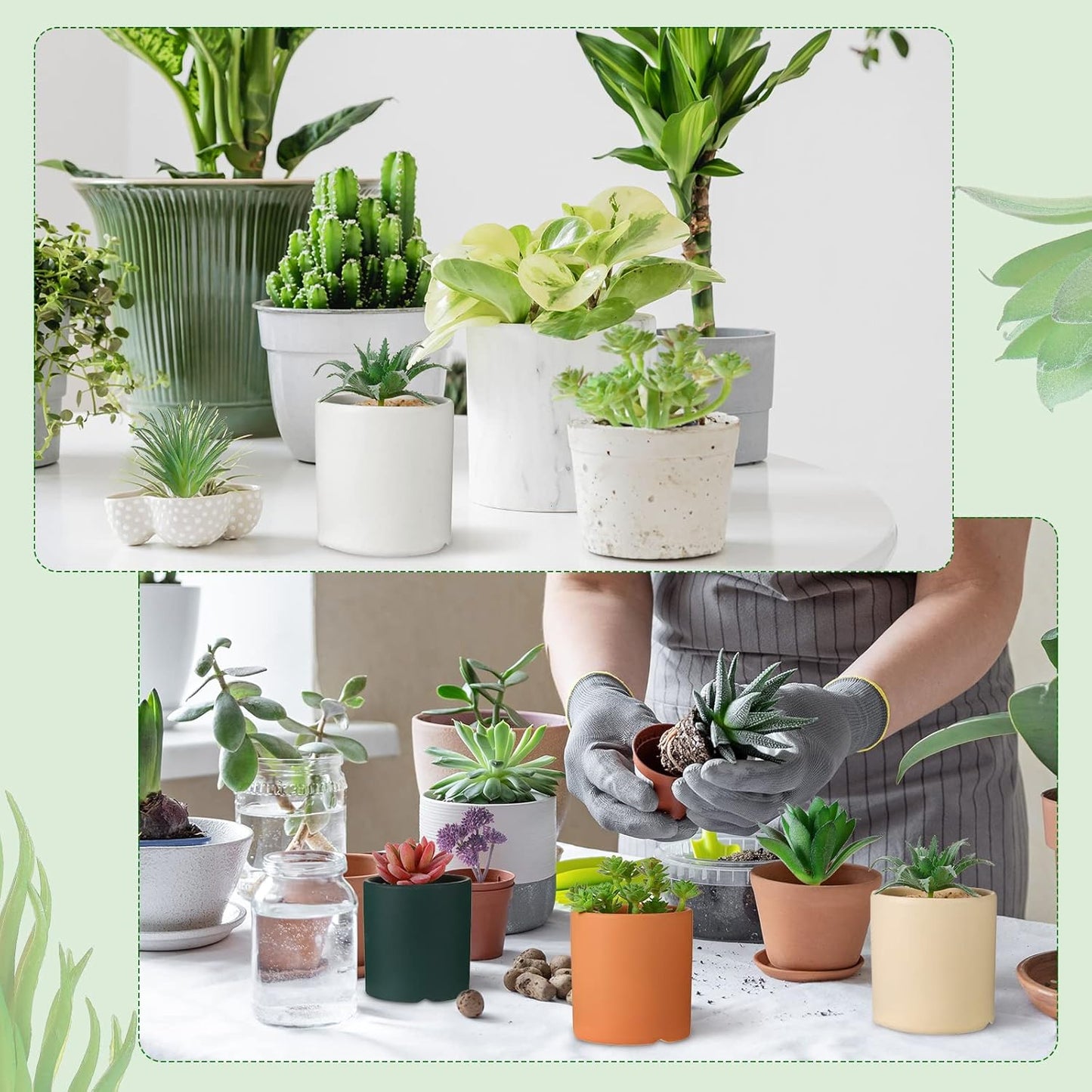 Bulk Mini Artificial Succulents Plants Assorted Unpotted Realistic Plants / Normal Style / Set of 50