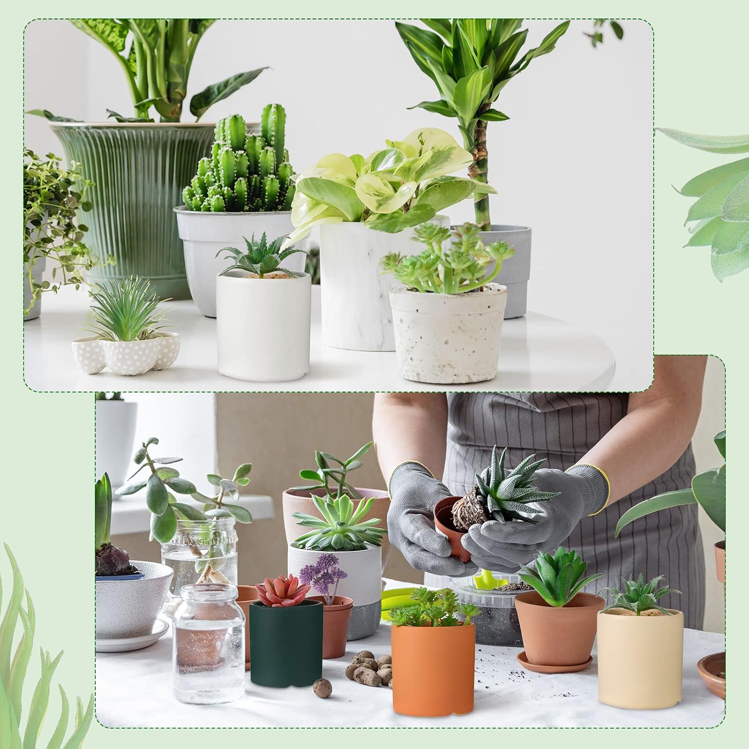Bulk Mini Artificial Succulents Plants Assorted Unpotted Realistic Plants / Normal Style / Set of 50