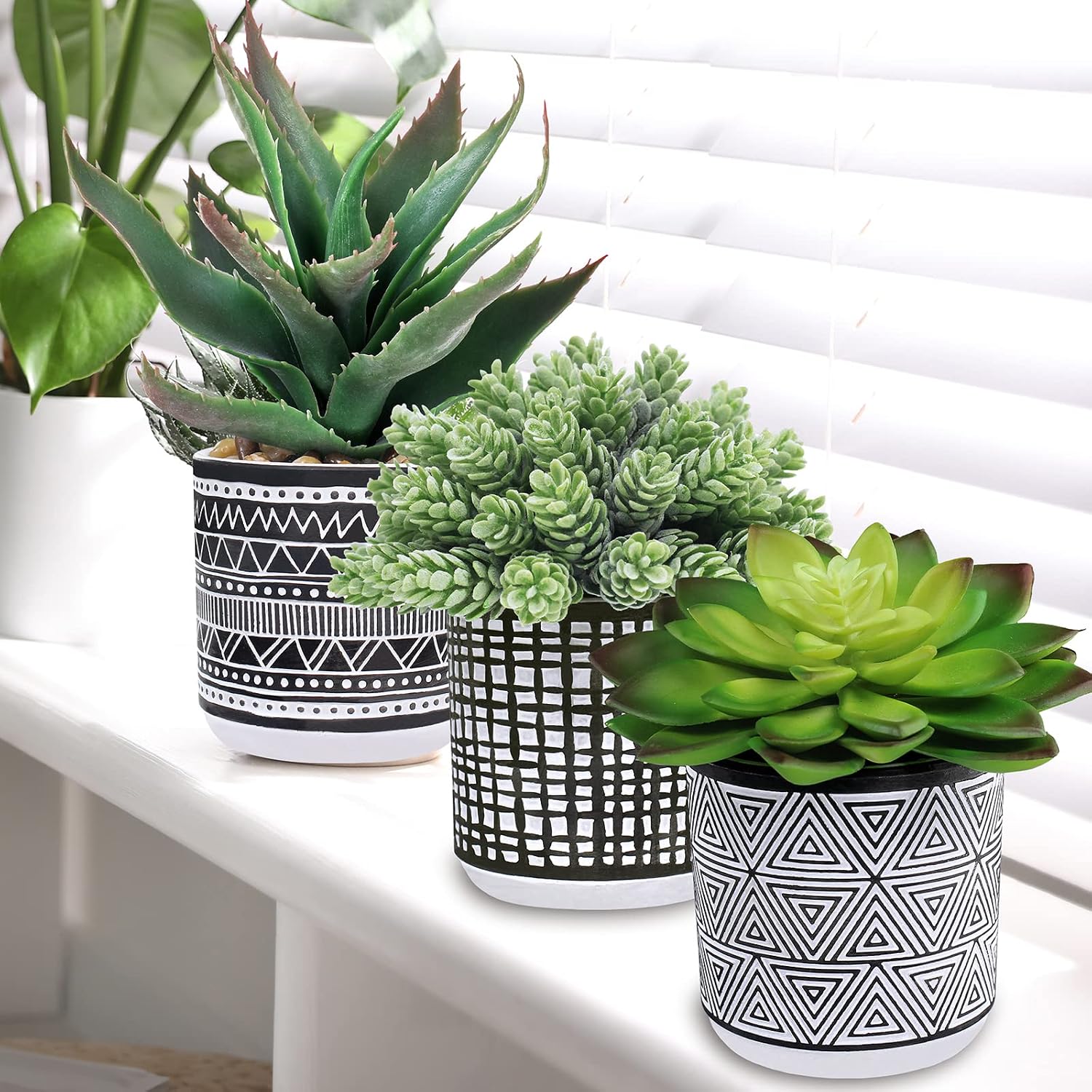 Assorted Small Potted Succulents Arrangement Artificial Succulent Plants / Black / Set of 3