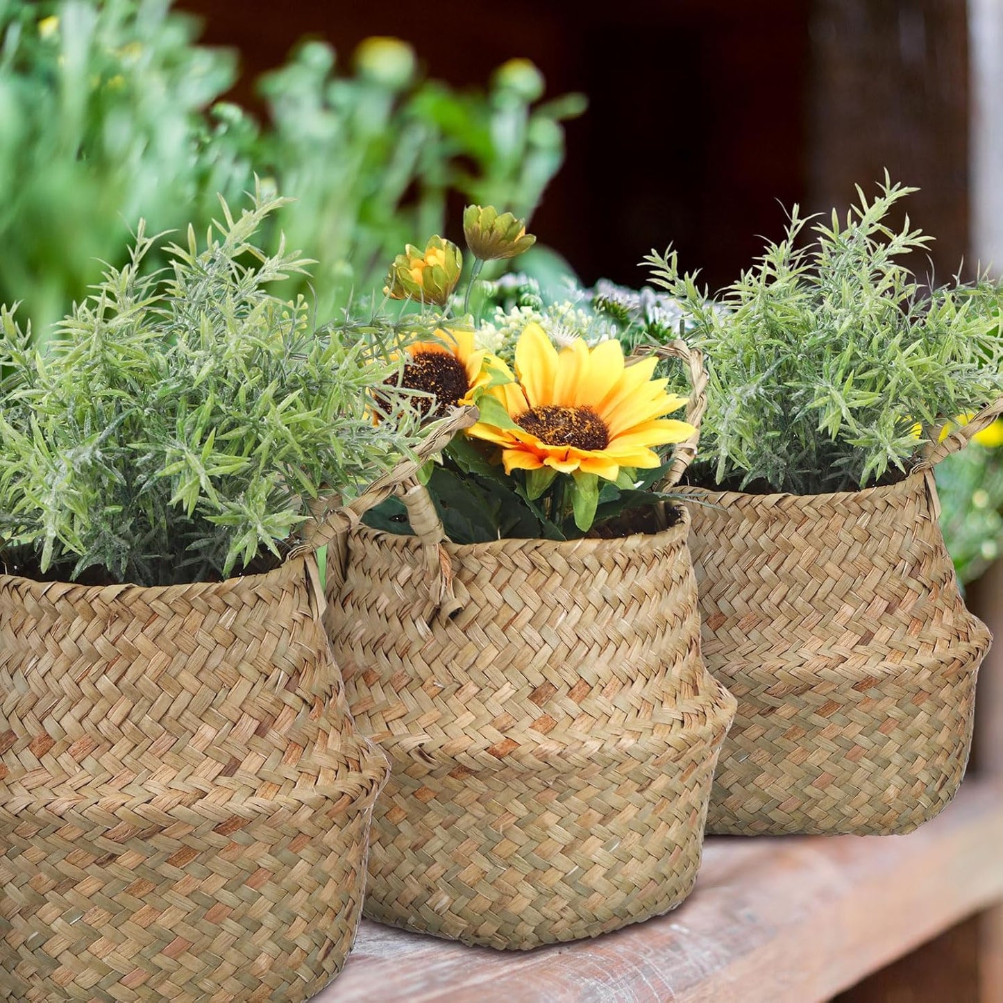 Woven Seagrass Baskets Belly Basket Folding Boho Plant Pot / Xxs,6.3''dx5.5''h / Natural / Set of 4
