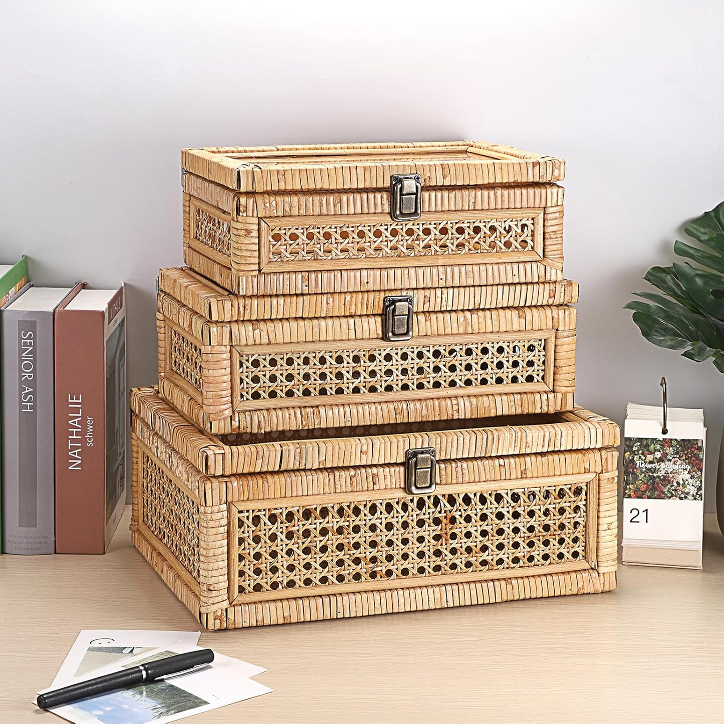 Clear Lid Rattan and Wood Display Boxes Handcrafted Shelf / 14 x 10 x 5.7 / Large / Natural Color