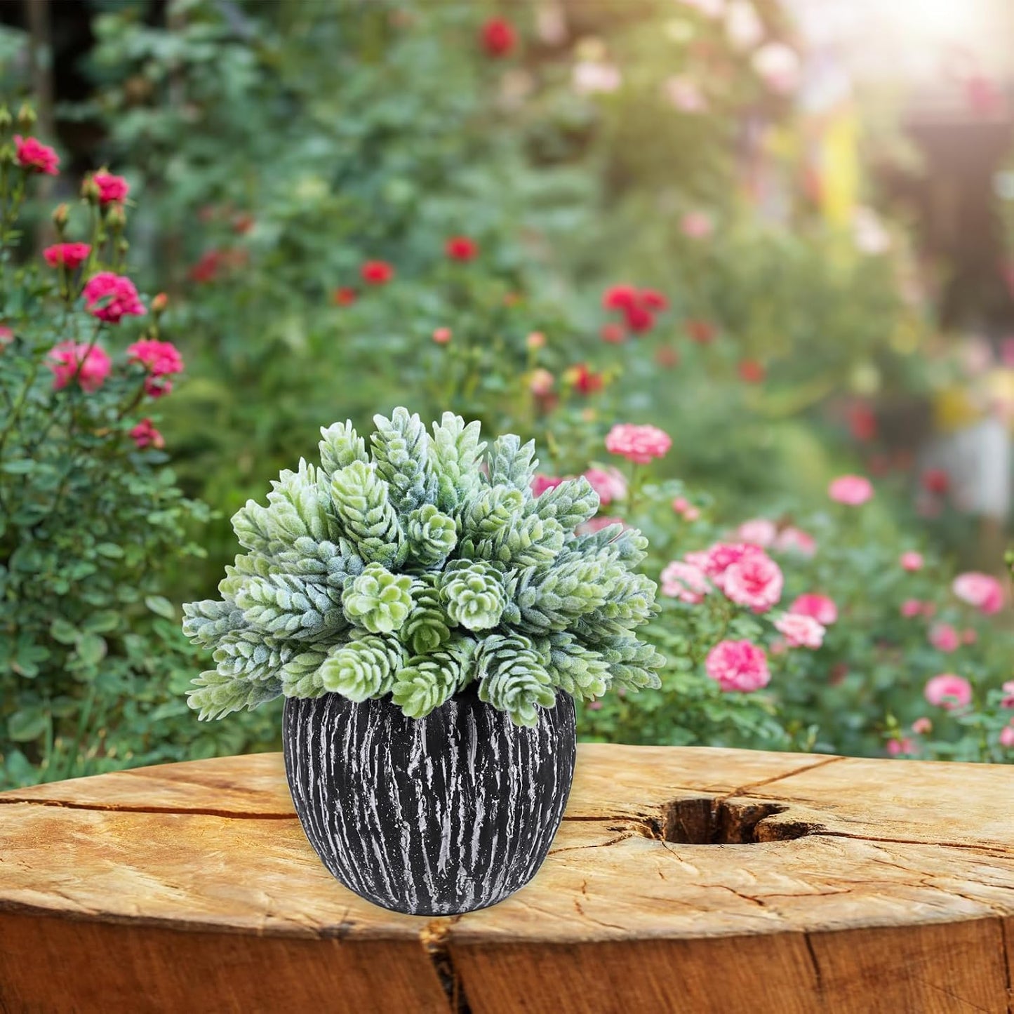 Artificial Succulent Plants in Pots Fake Hops Aloe String of Pearls Potted Plants / Black / Set of 3