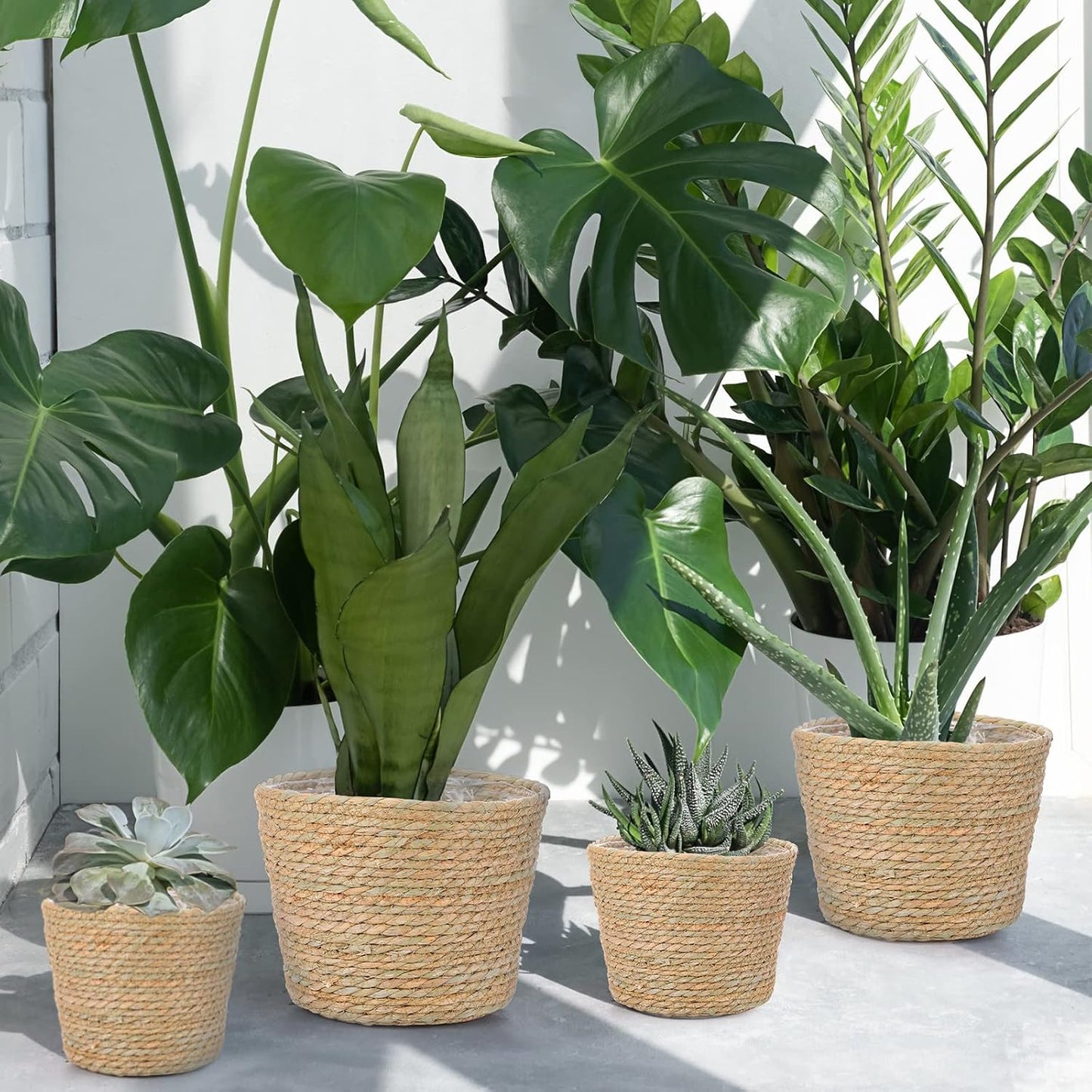 Seagrass Planter Basket Flower Pots Cover Plant Baskets Hand Woven Plant Basket / Classic / Set of 6