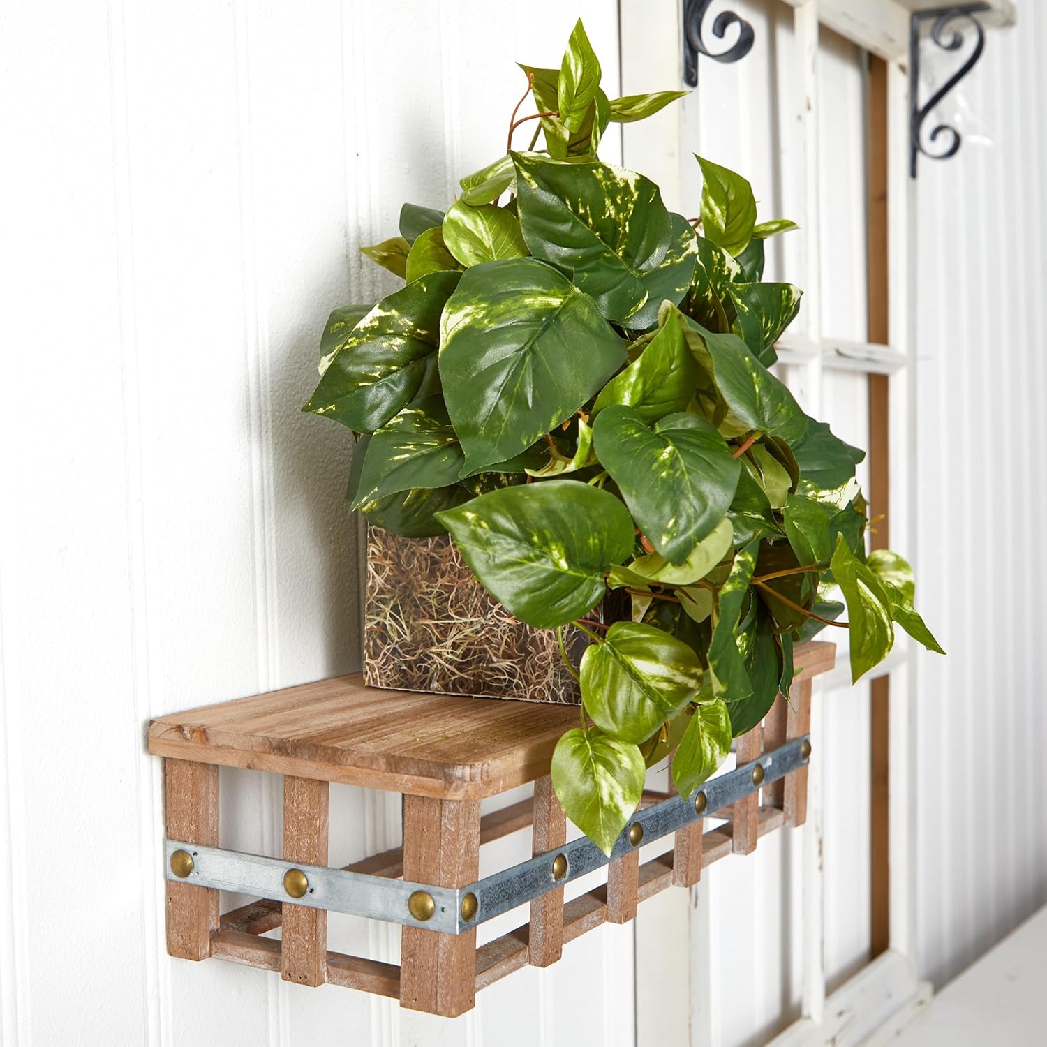 . Pothos Ledge Plant Silk Plant / Green / 15 Inch