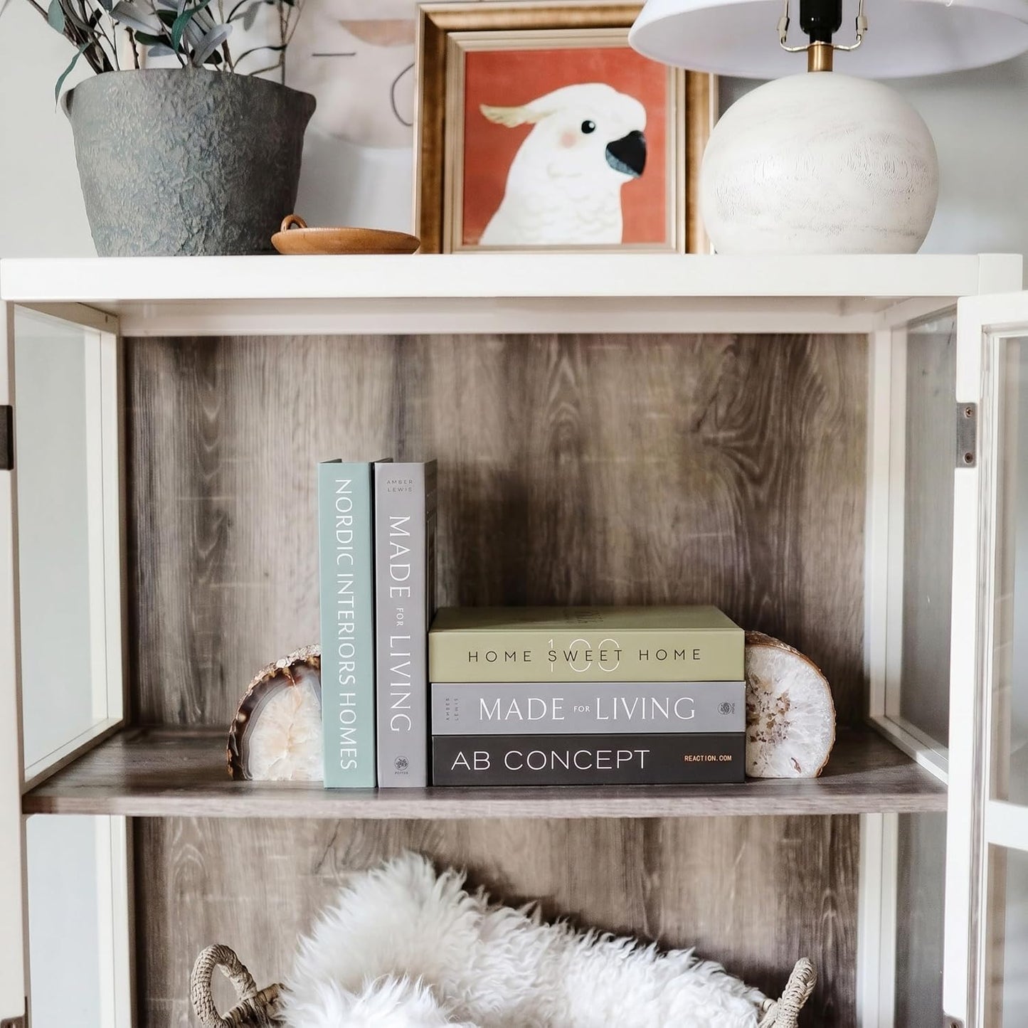 Not Real Books / Olive_large / Set of 4