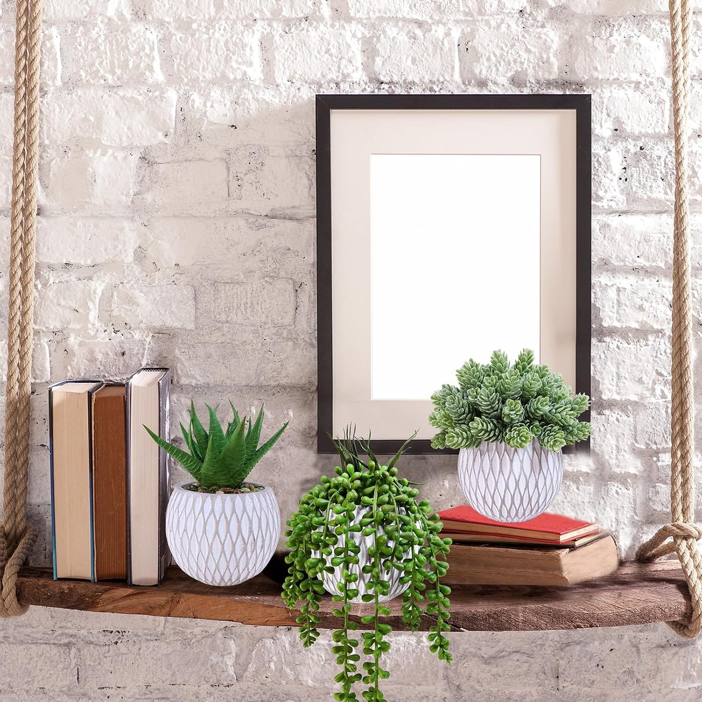Small Faux Potted Plants Artificial Aloe Hops String of Pearls Succulents Plants / Gray / Set of 3