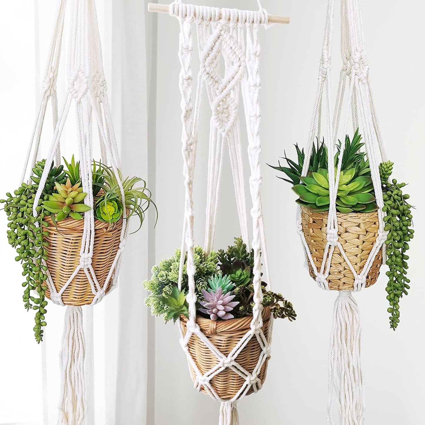 Assorted Artificial Succulents Plants Unpotted Small Hanging Succulent Aloe Fake / Green / Set of 19