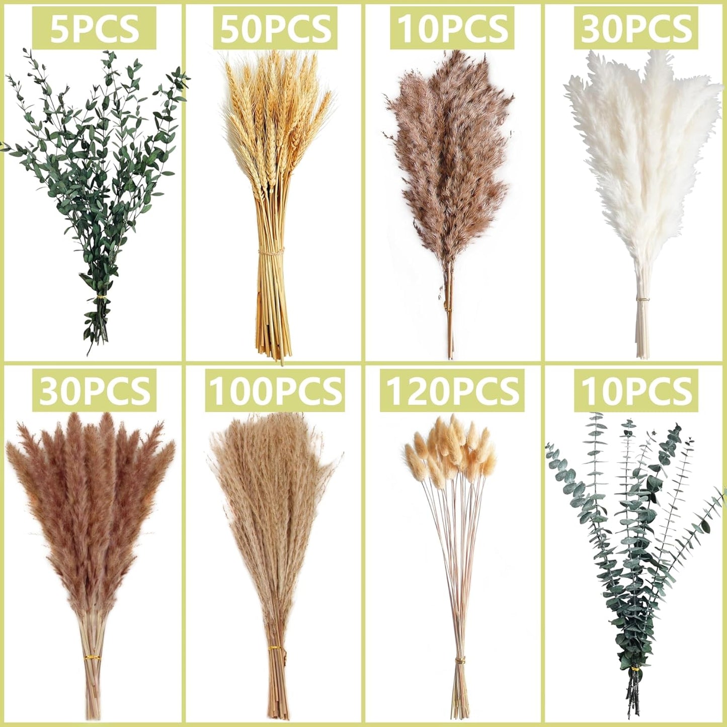 Pampas Grass & White Pampas Grass for Boho Baby Shower / Brown / Set of 350
