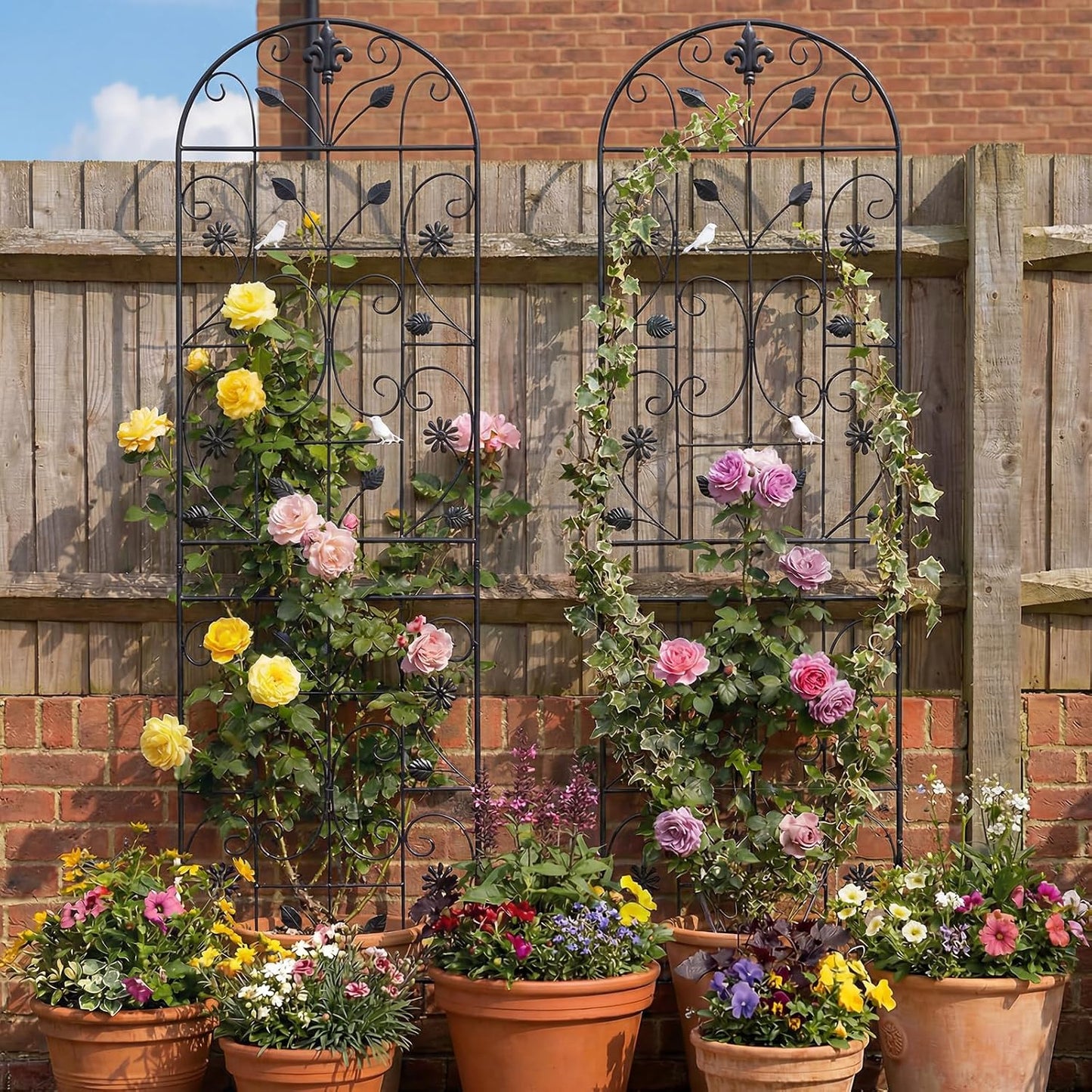 70.8" Metal Garden Trellis for Climbing Plants, 2 Pack Black | Rustproof steel lattice supports roses, clematis
