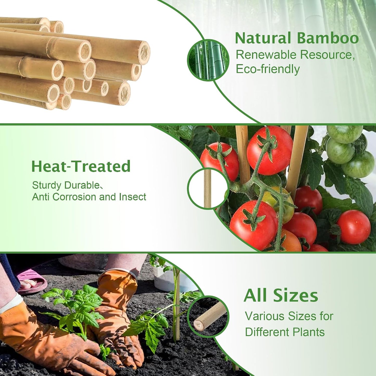Bamboo Stakes 8FT, 8 Feet Natural Bamboo Plants Stakes, 1" D Thicker Heavy Duty Garden Stakes 10 Pack for Tomatoes