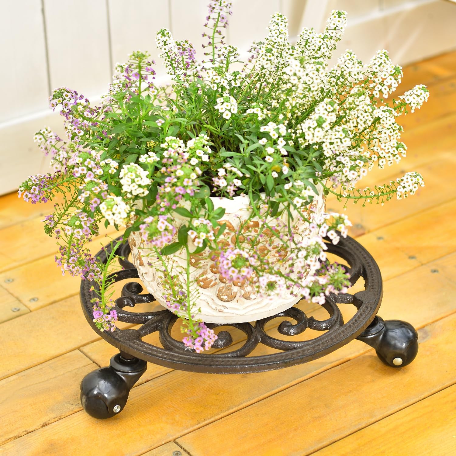 Sungmor Heavy Duty Cast Iron Plant Caddy,11" Round Potted Plant Stand Flower Pot Rack on 3 Solid Wheels,Indoor Outdoor