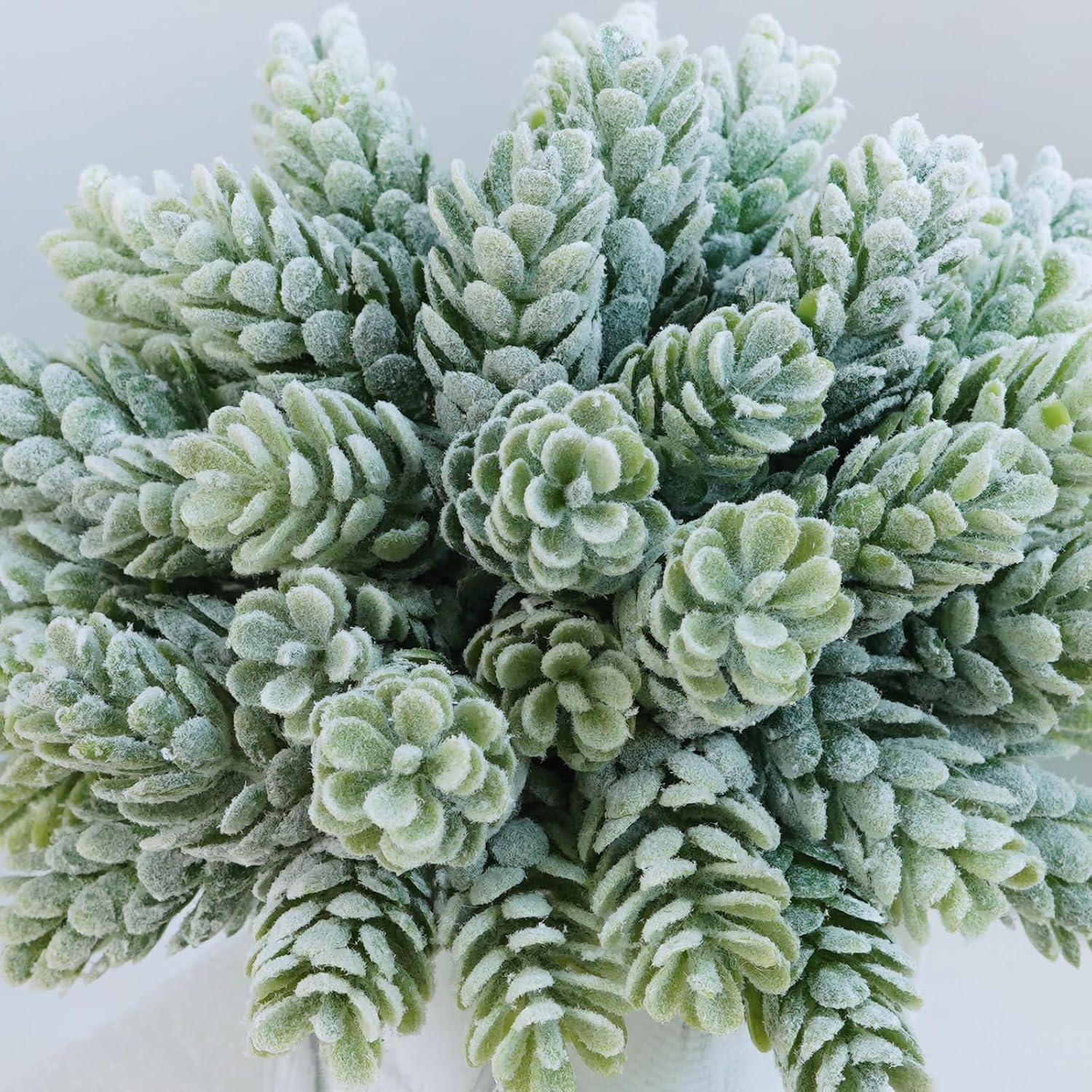 Small Artificial Succulent Potted Plants Fake Aloe Hops String of Pearls in Modern Marble / Set of 3