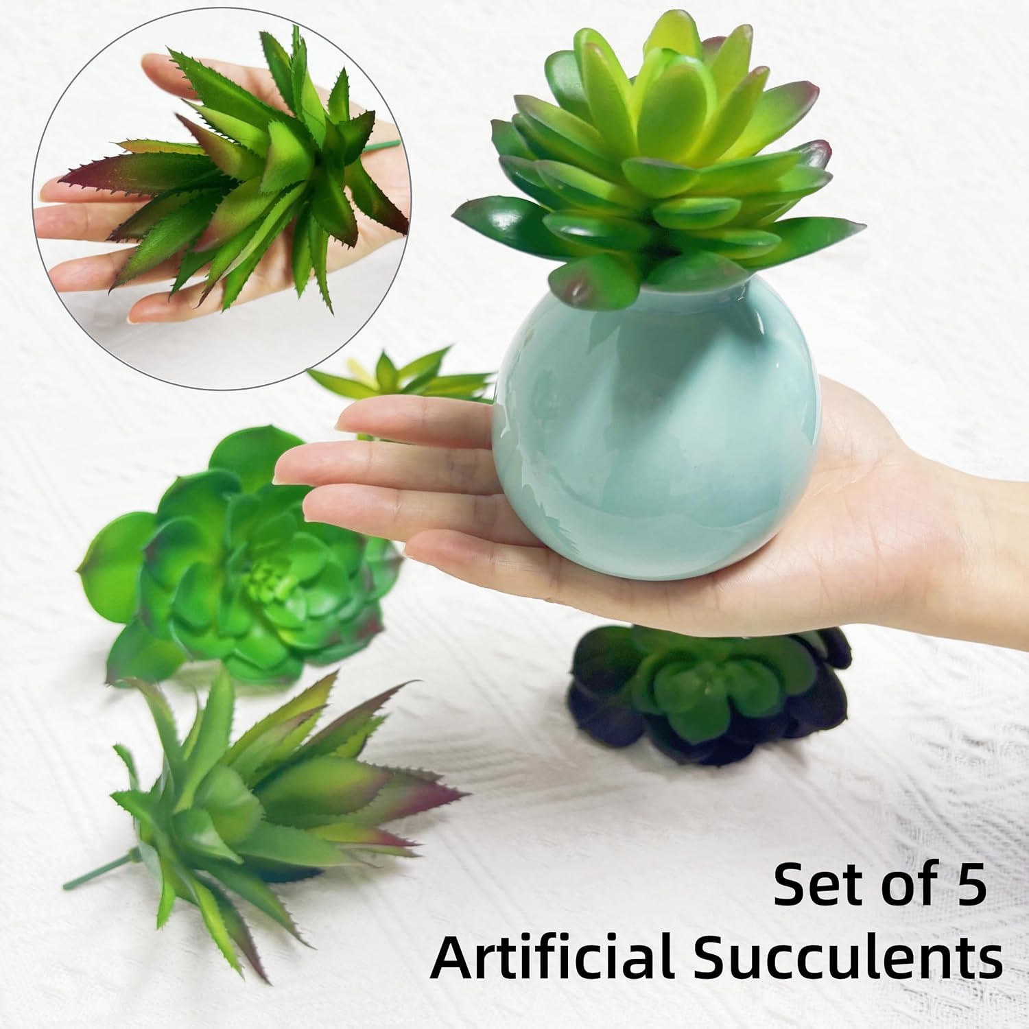 Artificial Hanging Ornaments Fleshed Plant Textured / Green / Set of 5