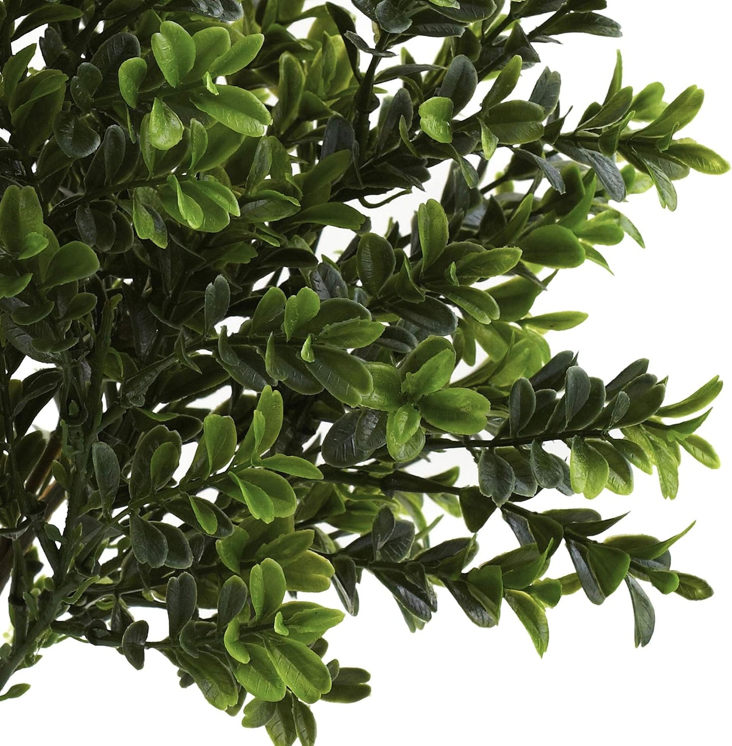 6113-S6 Sweet Grass Bush / Green / Set of 6