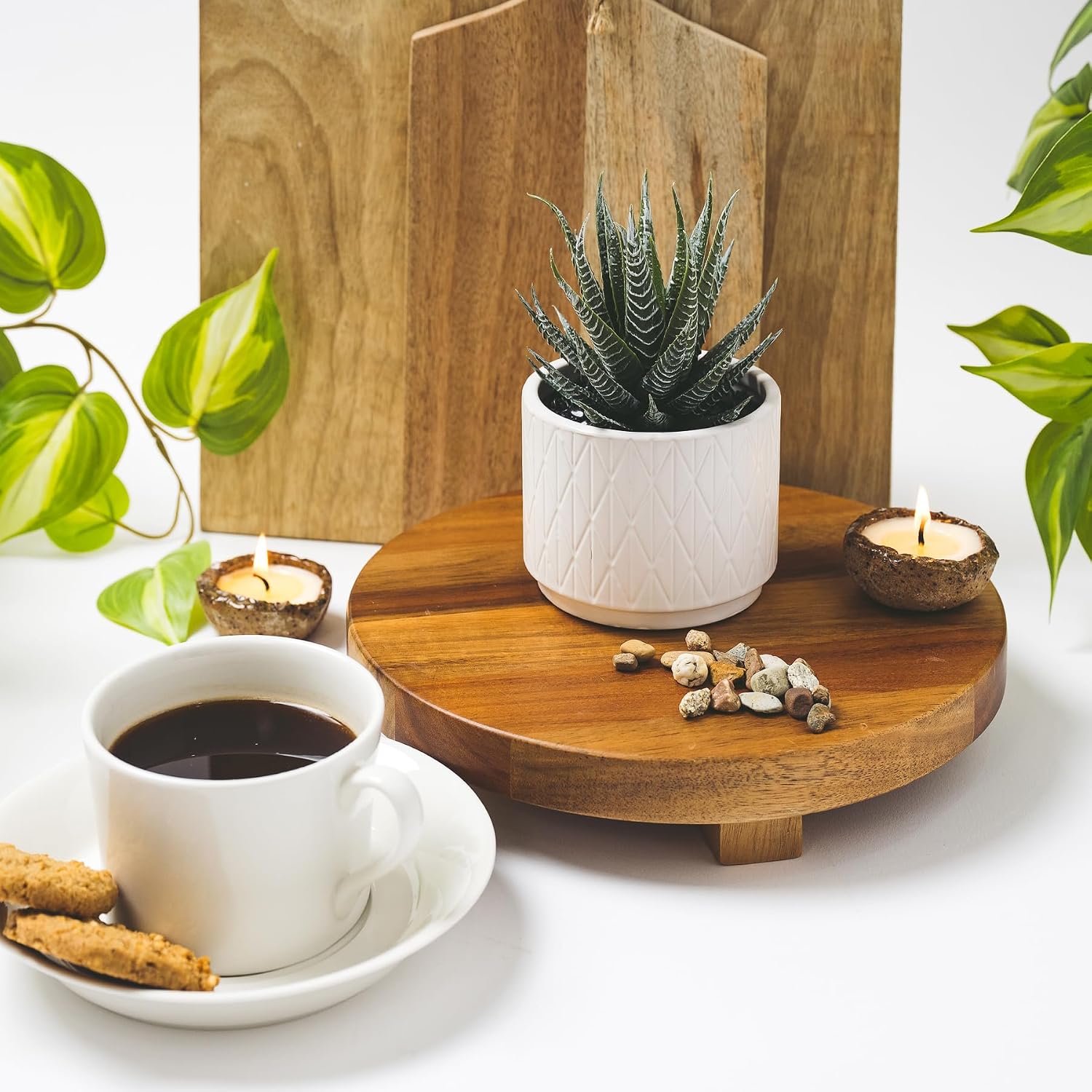 Artificial Succulent Plant in Matte Ceramic Pot / White