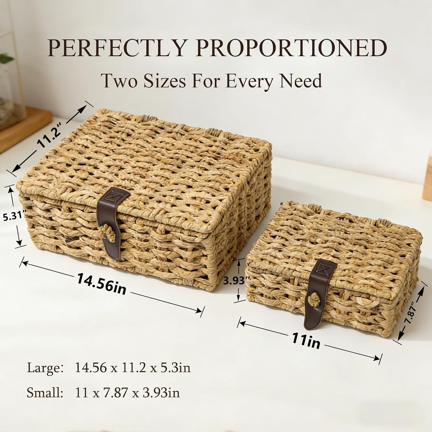 Woven Storage Basket / Set of 2